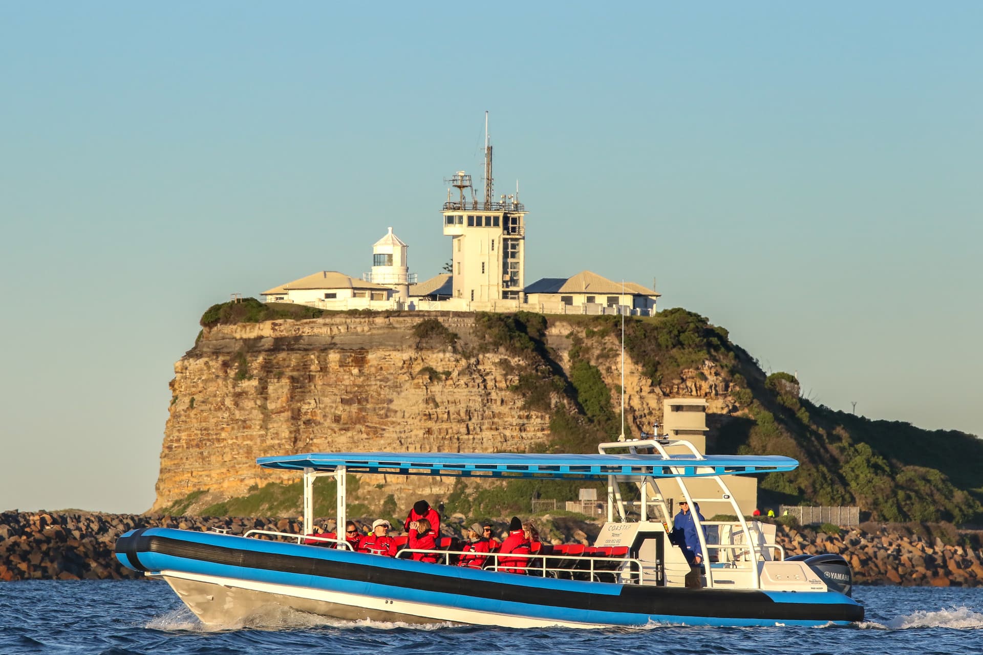 Newcastle Whale Watching Cruise aboard CoastXP - სურათი 2