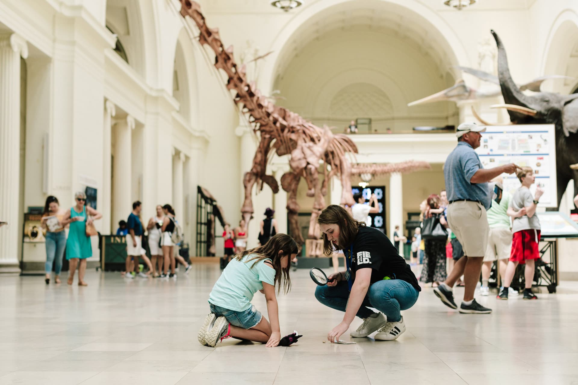 Go City Chicago Essentials Pass: 3 Attractions - სურათი 14