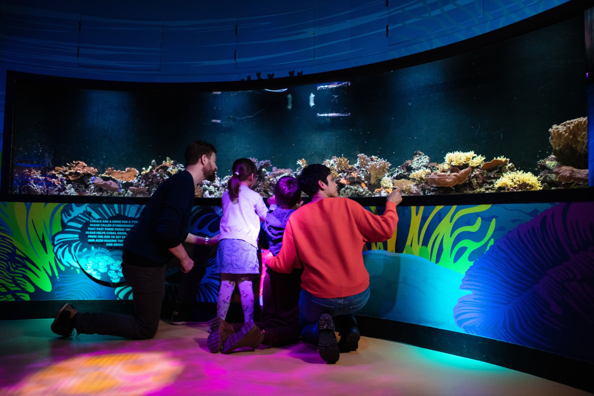COMBO: Madame Tussauds London + SEA LIFE London Aquarium Ticket - სურათი 10