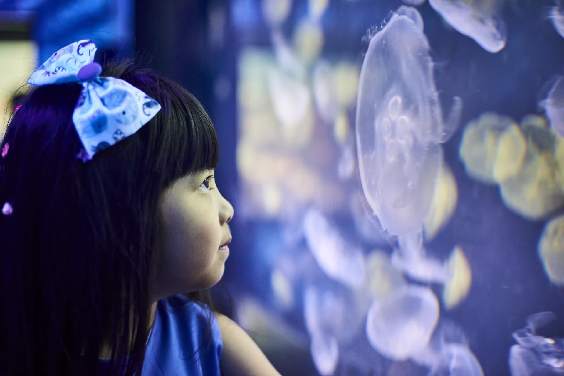 SEA LIFE Melbourne Aquarium Direct Entry Ticket - სურათი 12