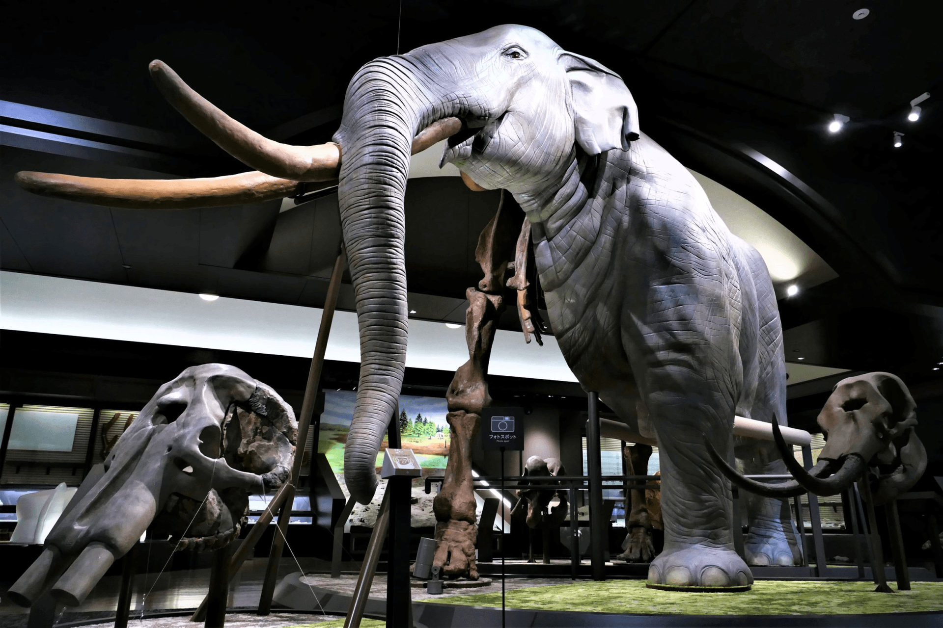 Lake Biwa Museum Ticket - მთავარი სურათი