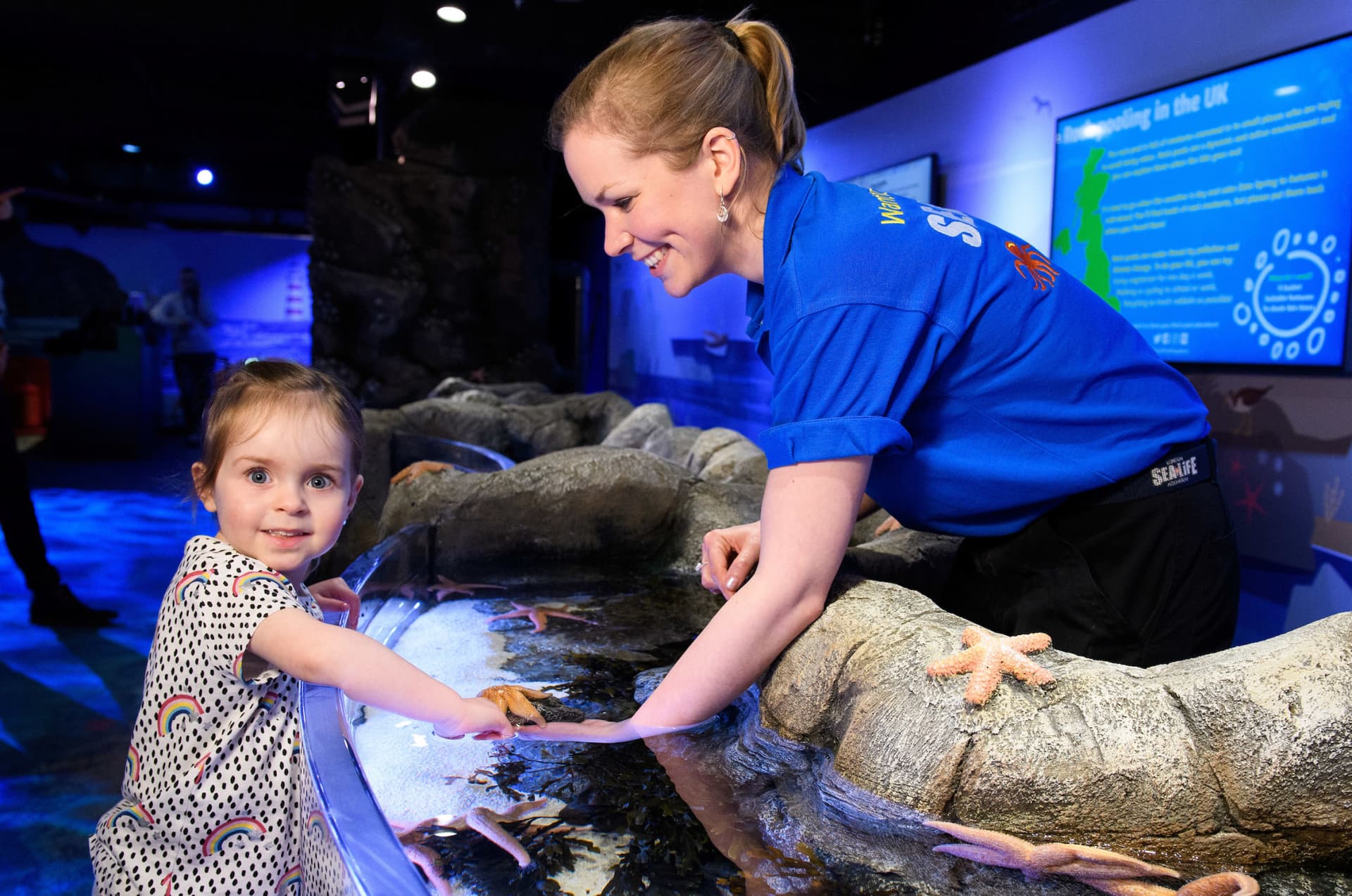 SEA LIFE London Aquarium Ticket - სურათი 9