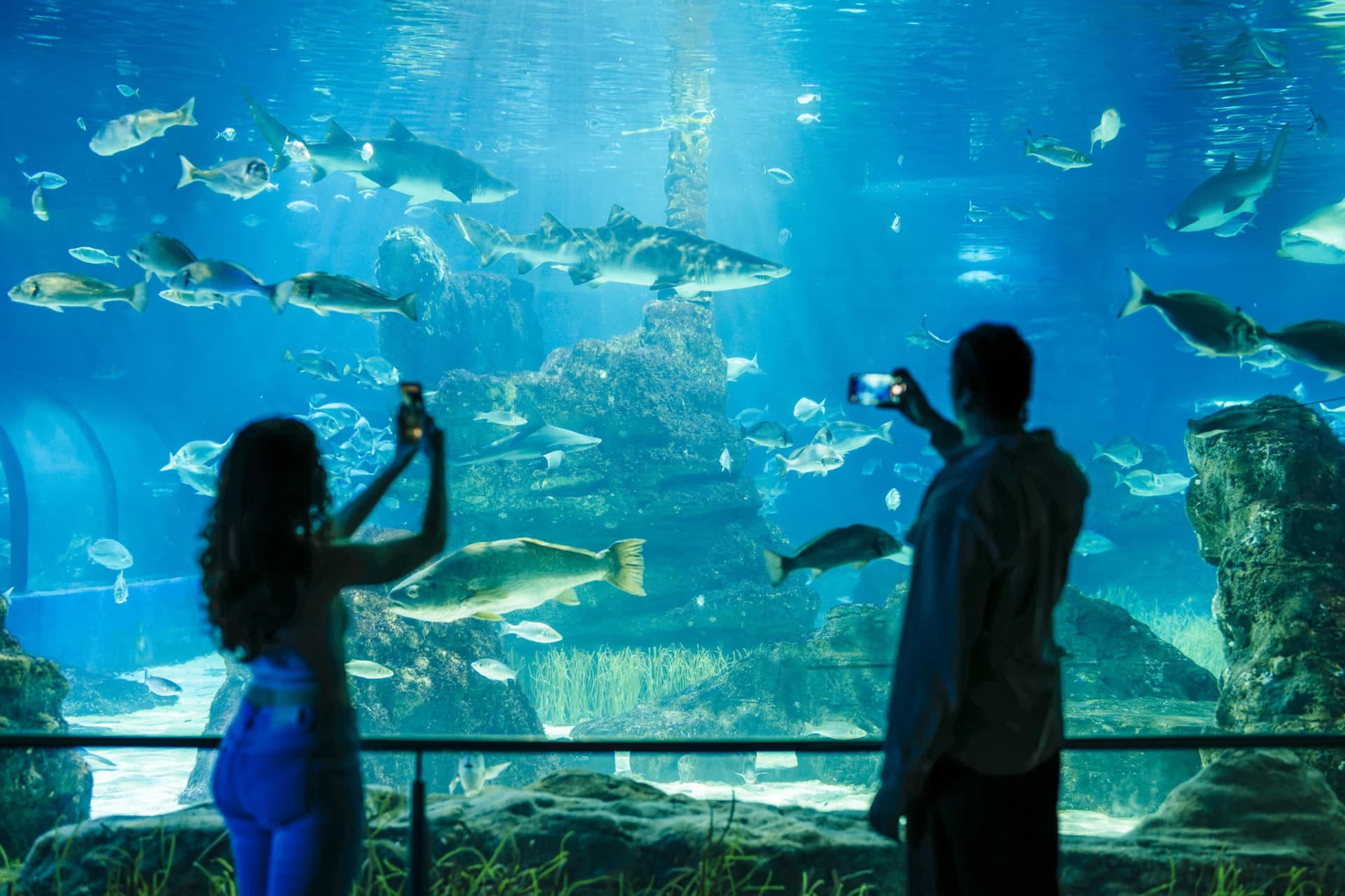 Barcelona Aquarium Ticket - სურათი 9