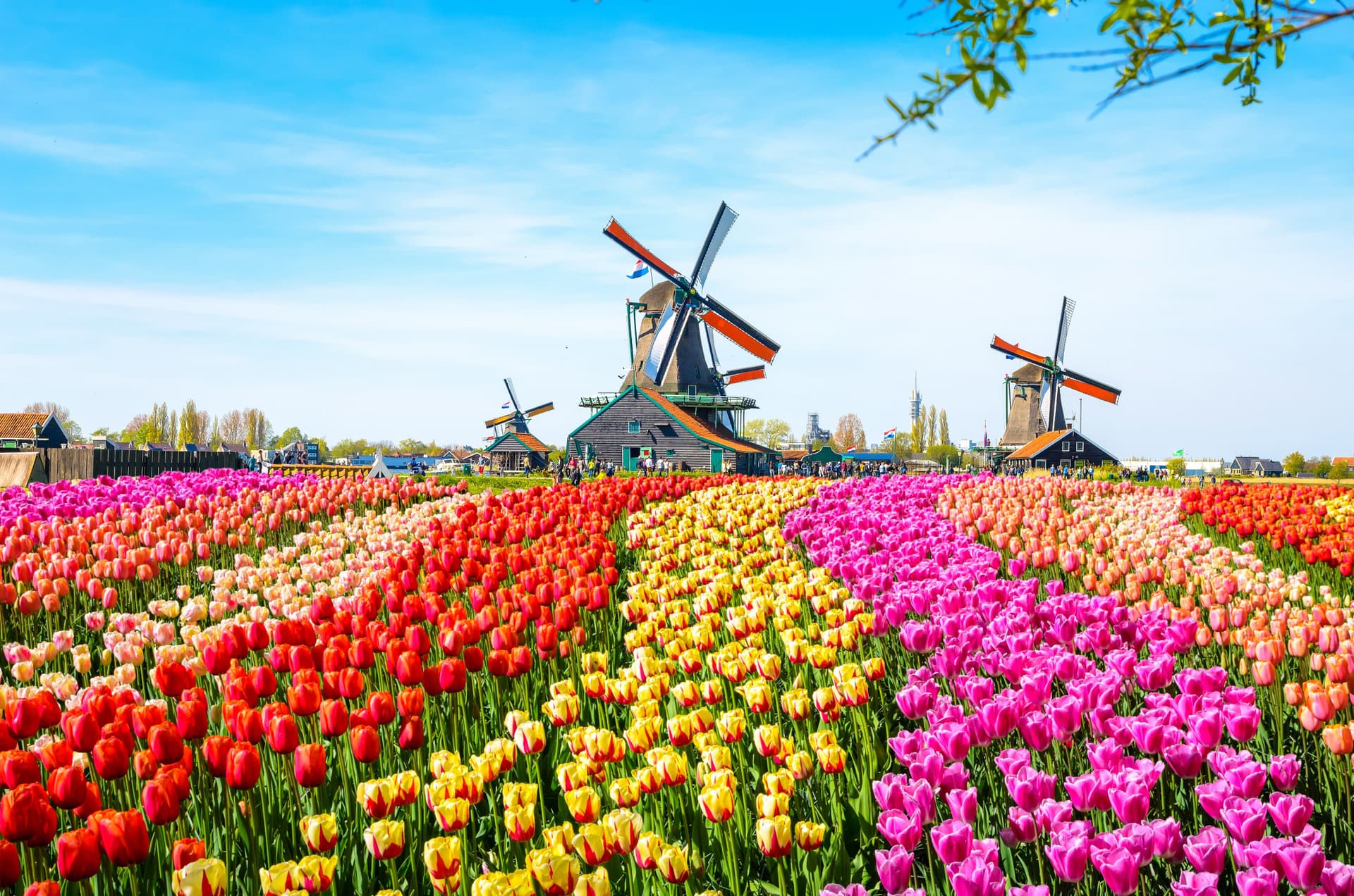Go City Amsterdam Essentials Pass: 3 Attractions - სურათი 8