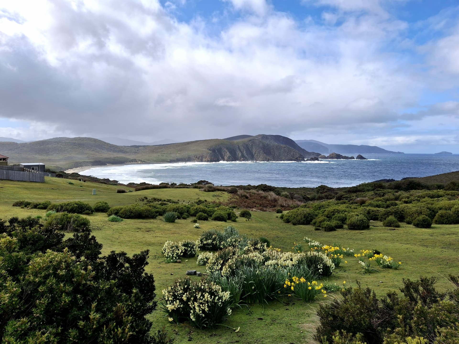 From Hobart | Bruny Island Food, Sightseeing and Lighthouse Tour - სურათი 4