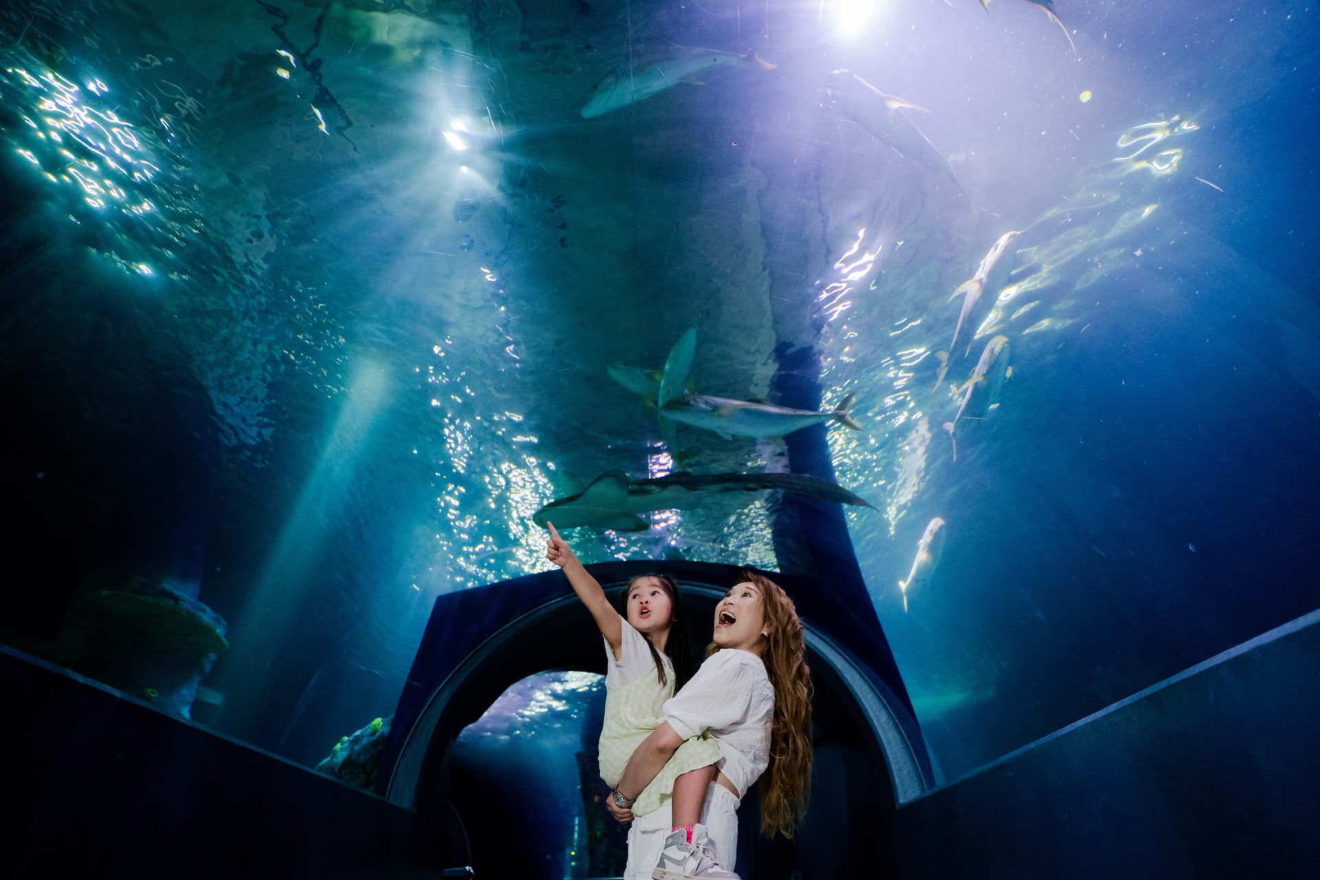 COMBO: Melbourne Skydeck + SEA LIFE Melbourne Aquarium Tickets - სურათი 6