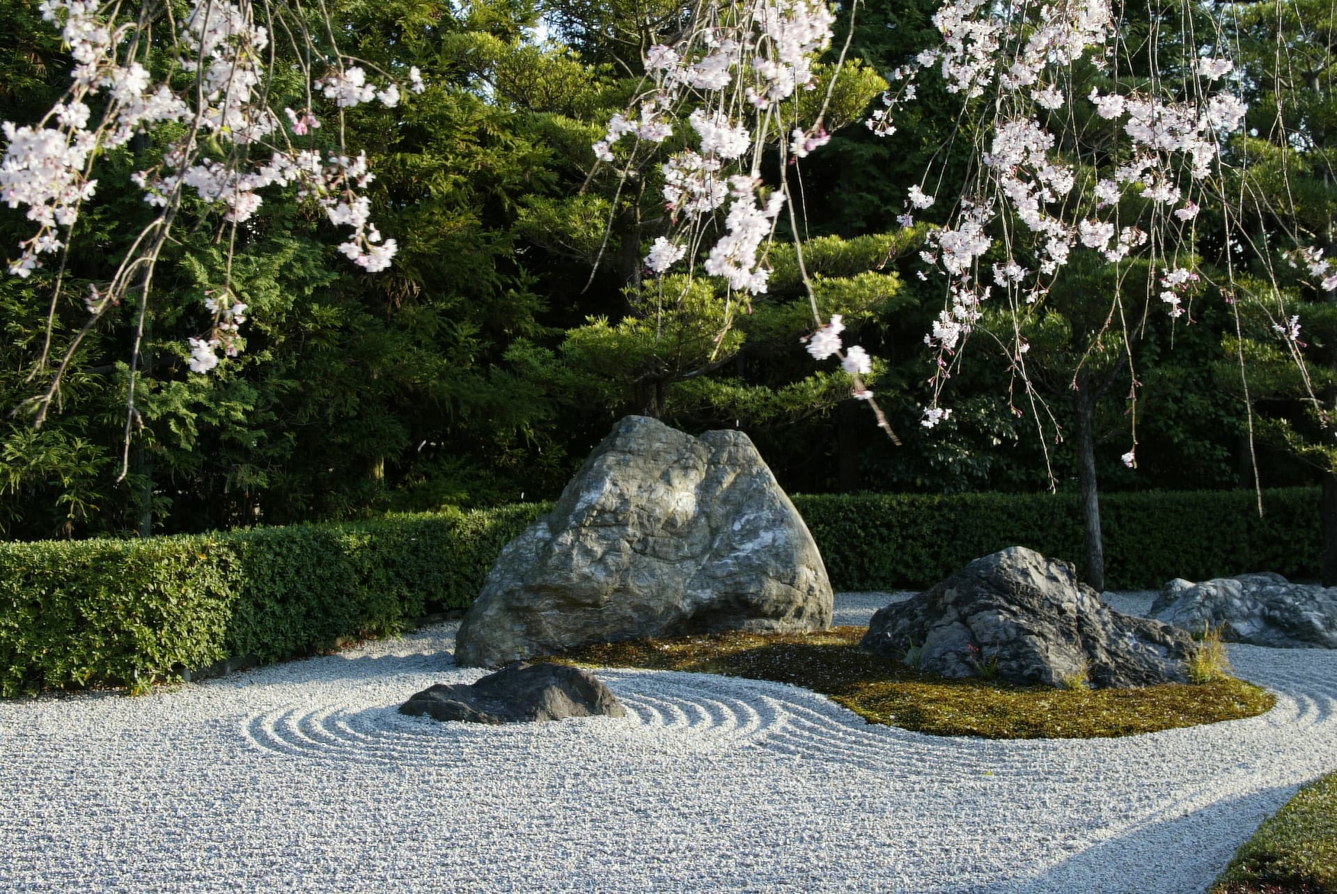 Myoshinji Temple Self-Guided Tour with Lunch - სურათი 7