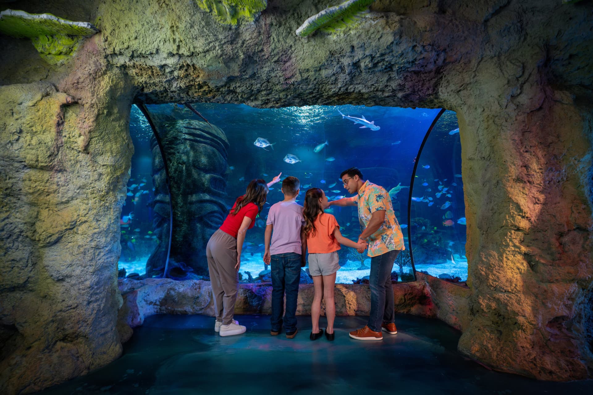 COMBO: Madame Tussauds Orlando + SEA LIFE Orlando Aquarium Ticket - სურათი 9