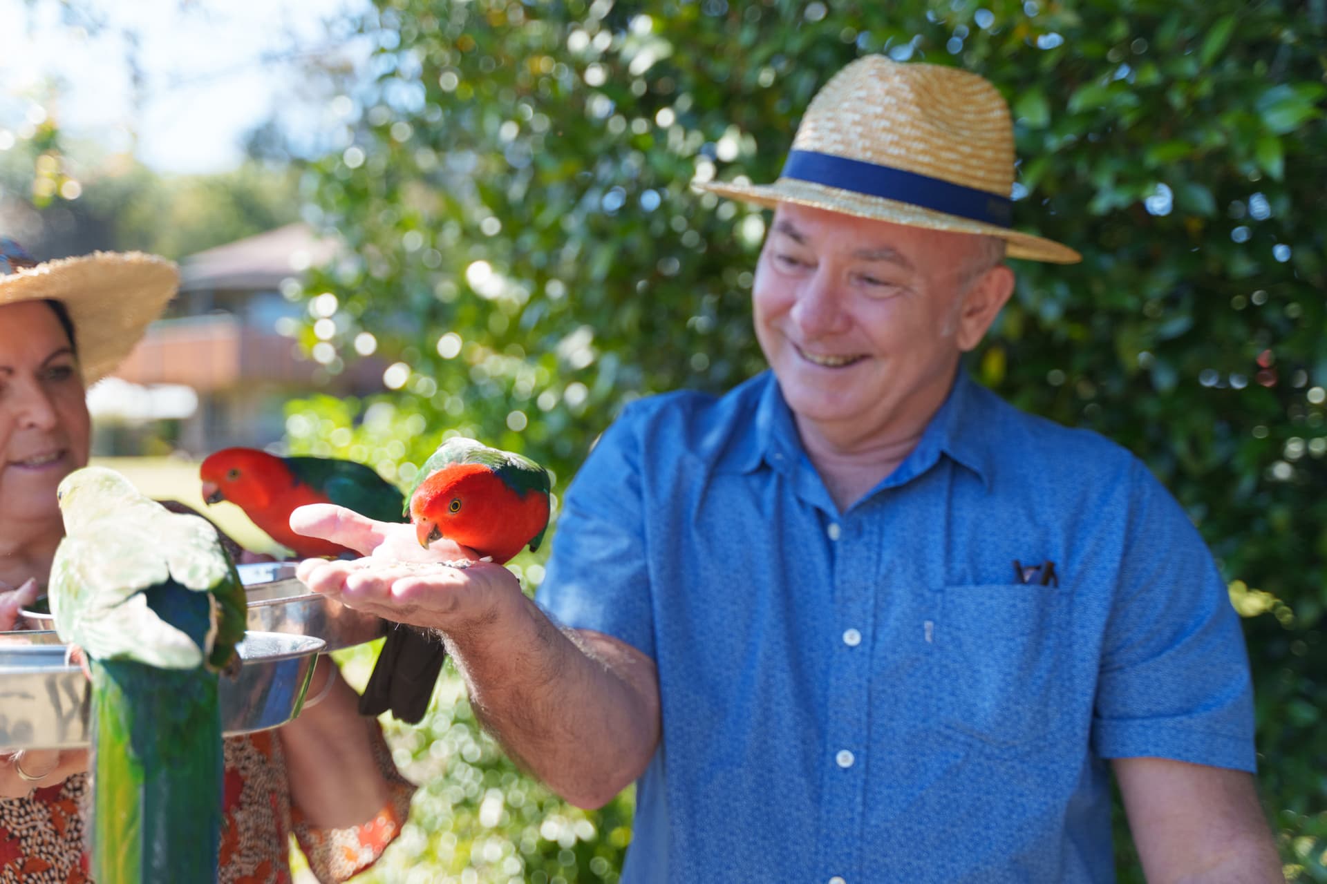 Lamington National Park Tour: O'Reilly's Rainforest Retreat and Canungra Valley Vineyard - სურათი 14