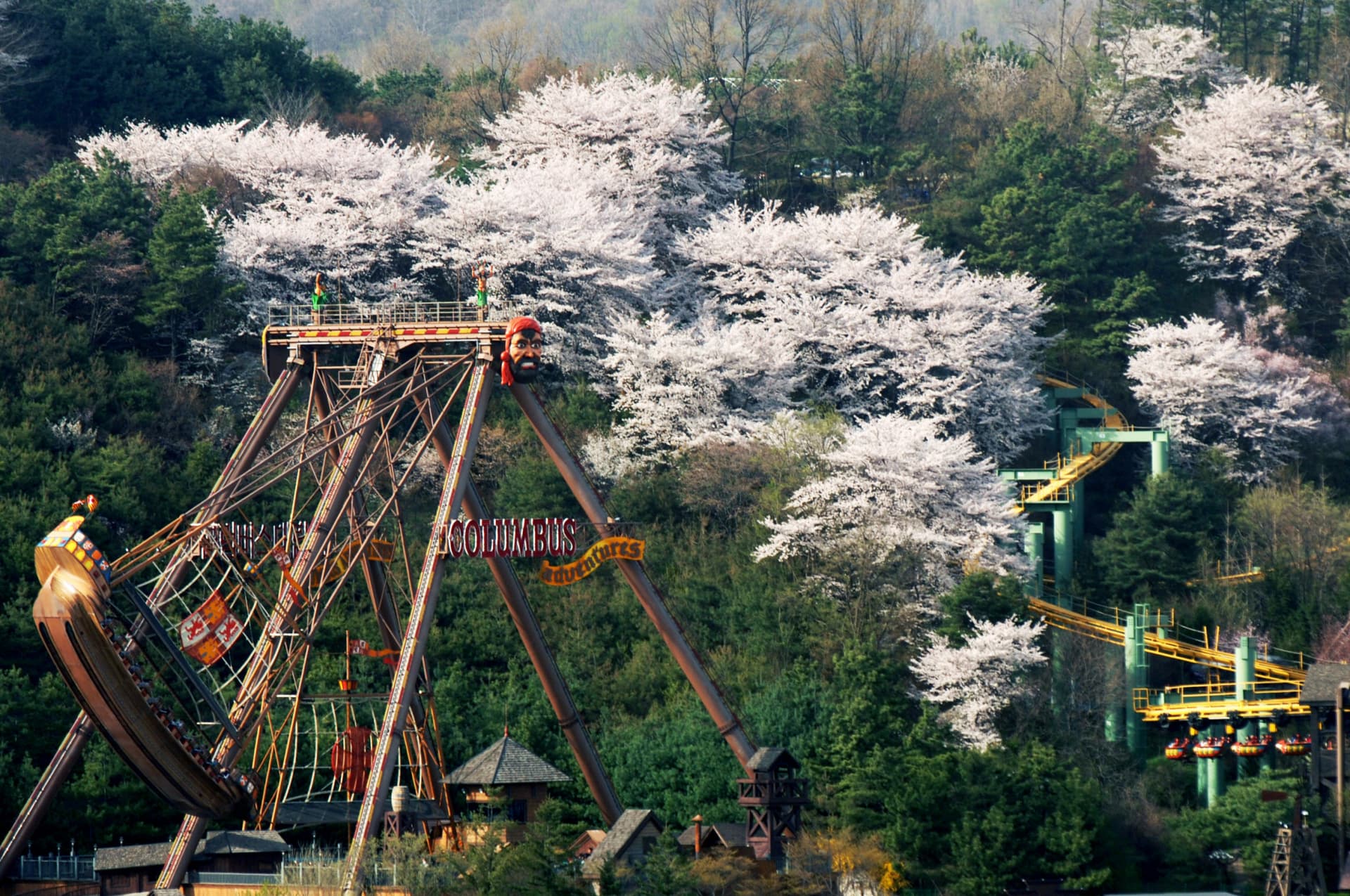 Everland Theme Park Ticket - სურათი 13