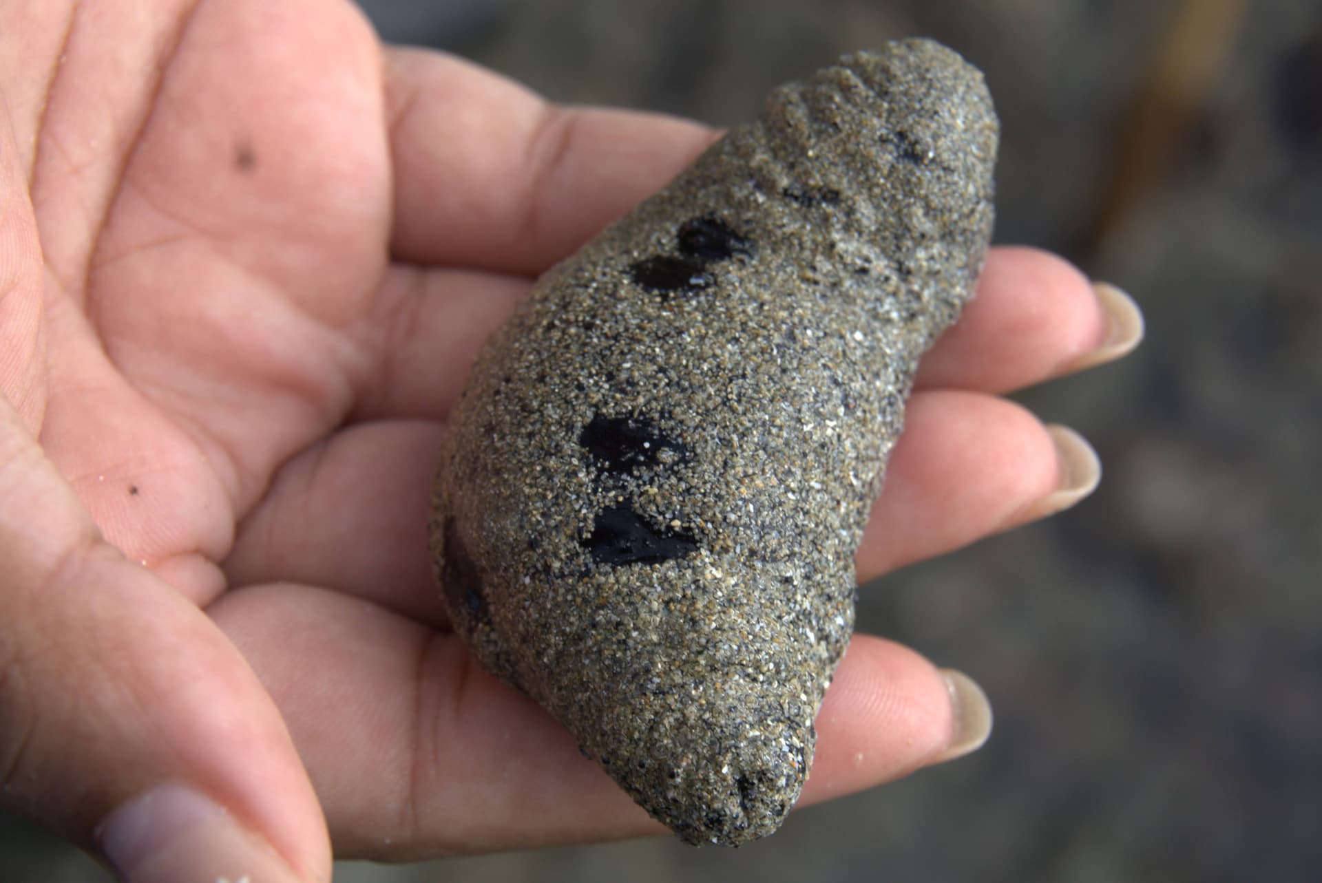 Desaru Beach and Tide Pool Walk - სურათი 28