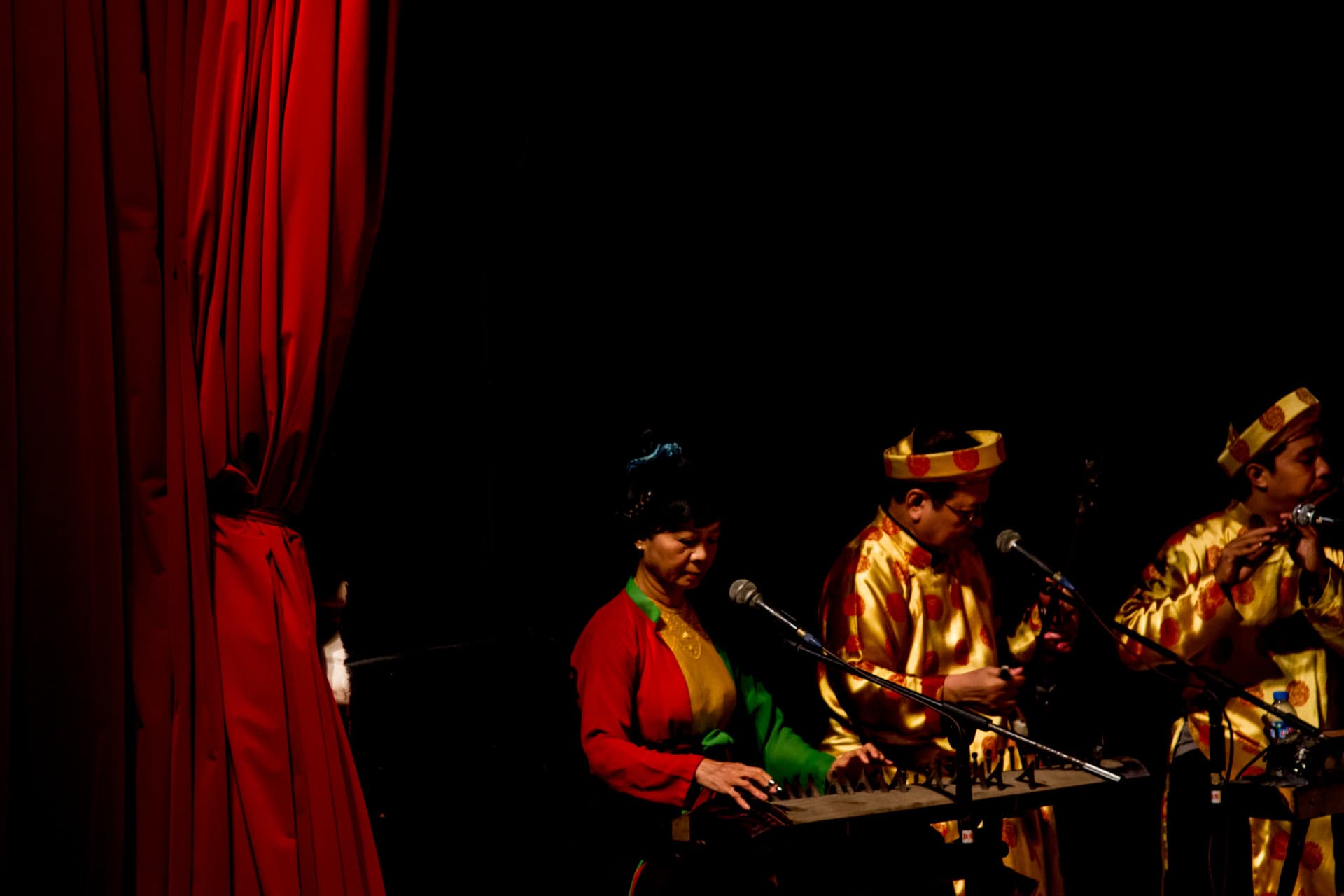 Traditional Vietnamese Water Puppet Show with Dinner in Ho Chi Minh - სურათი 12