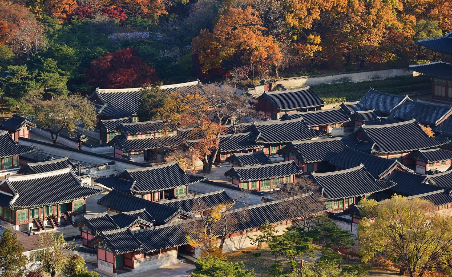 Discover Seoul Pass - სურათი 15