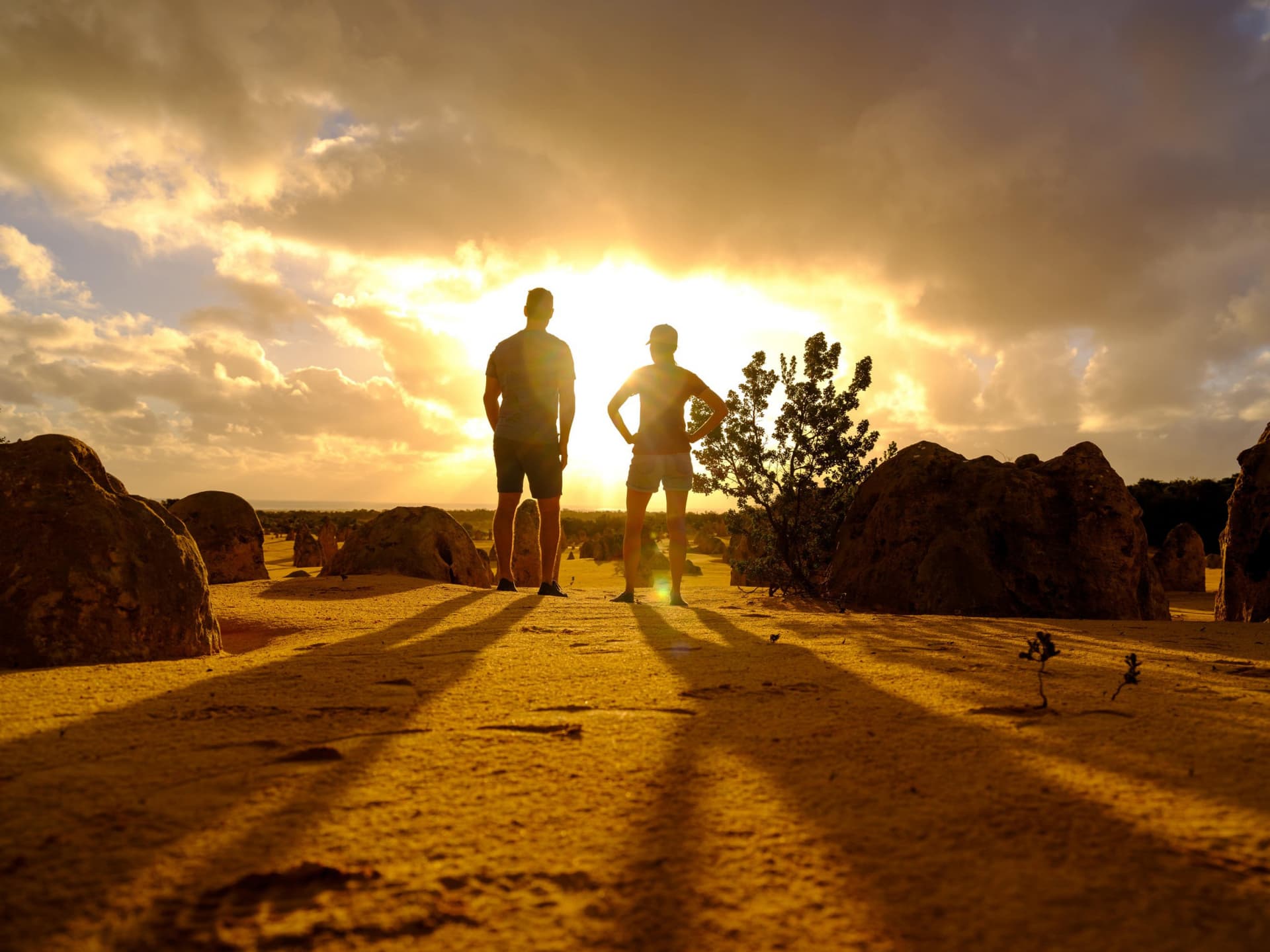 Pinnacles Desert Sunset and Stargazing Tour from Perth - მთავარი სურათი