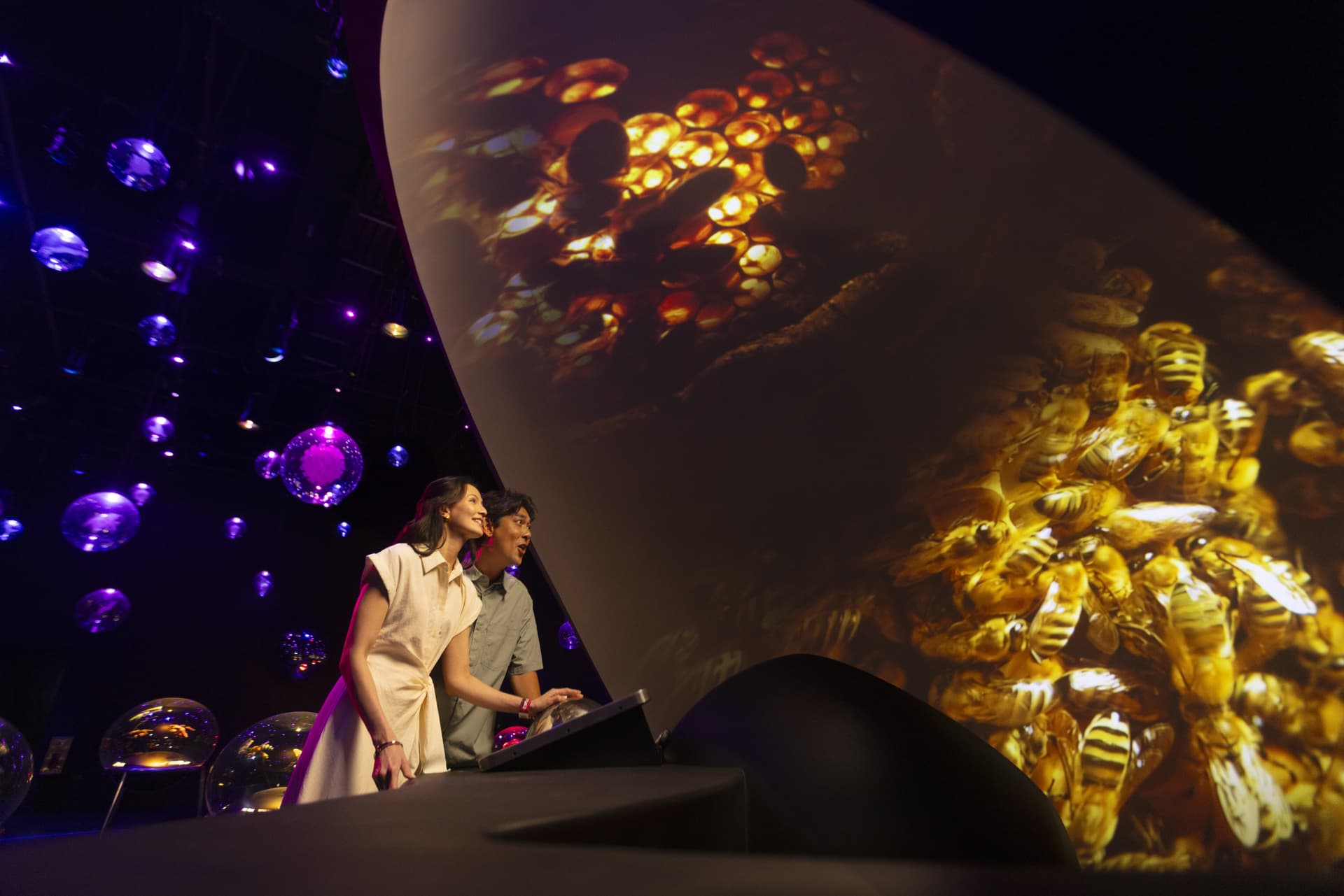 Exploria in Mandai Singapore Ticket - სურათი 4