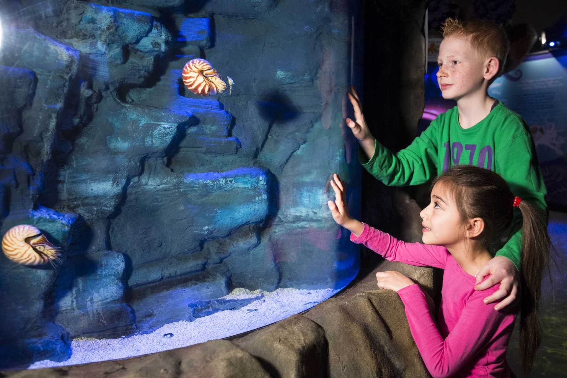 SEA LIFE Hannover Aquarium Ticket - სურათი 6