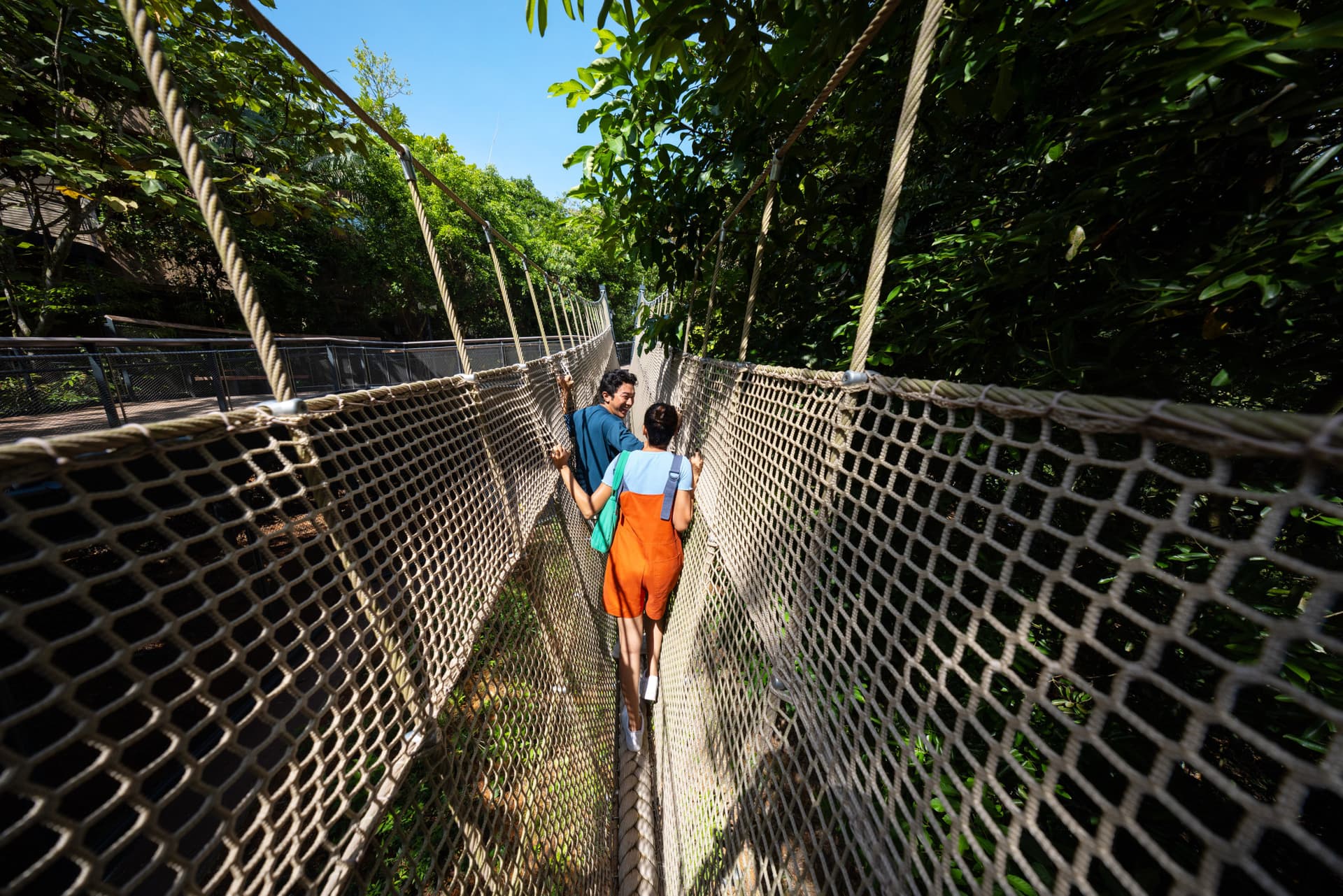 Rainforest Wild Adventure Ticket - სურათი 3