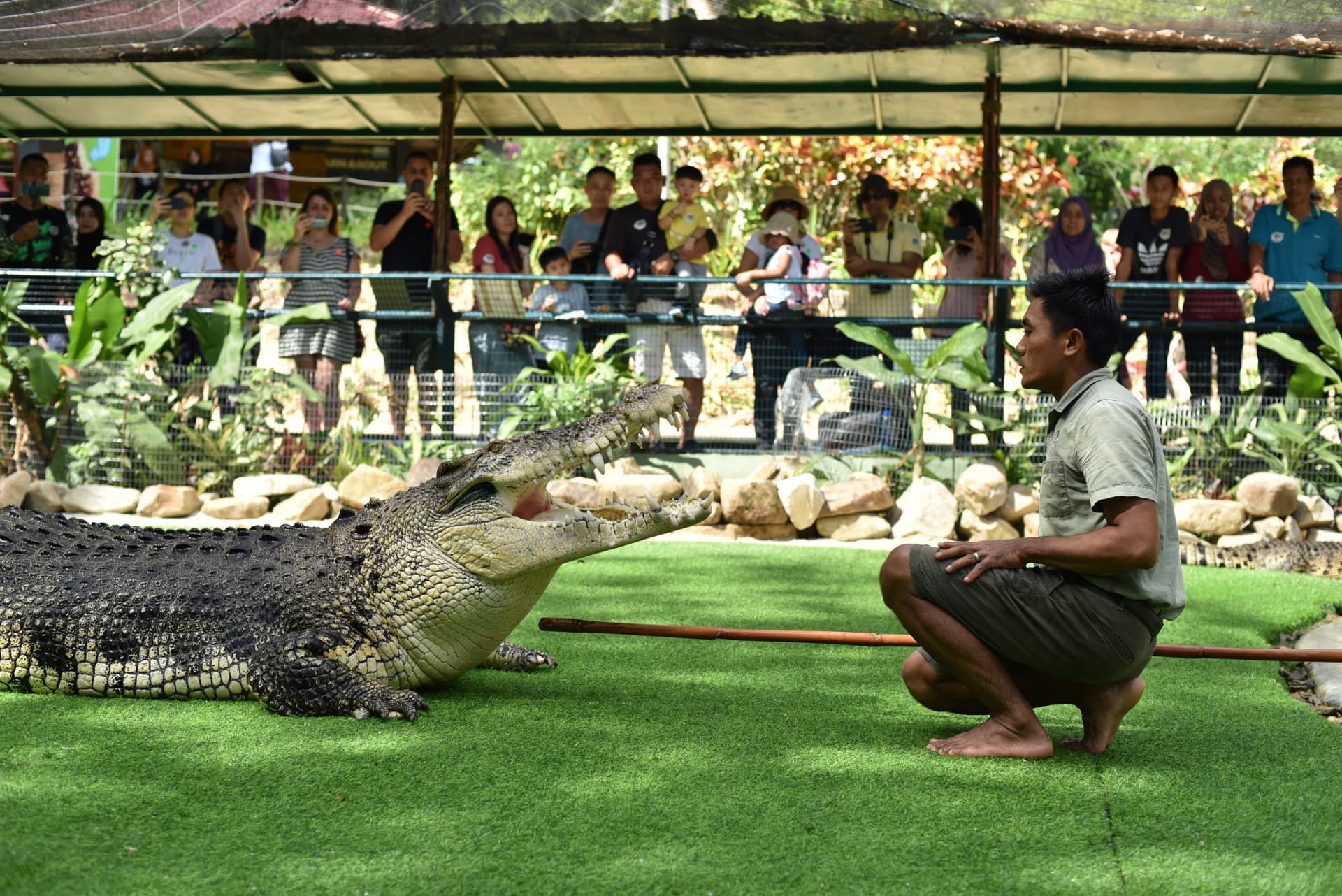 Crocodile Adventureland Langkawi - სურათი 10