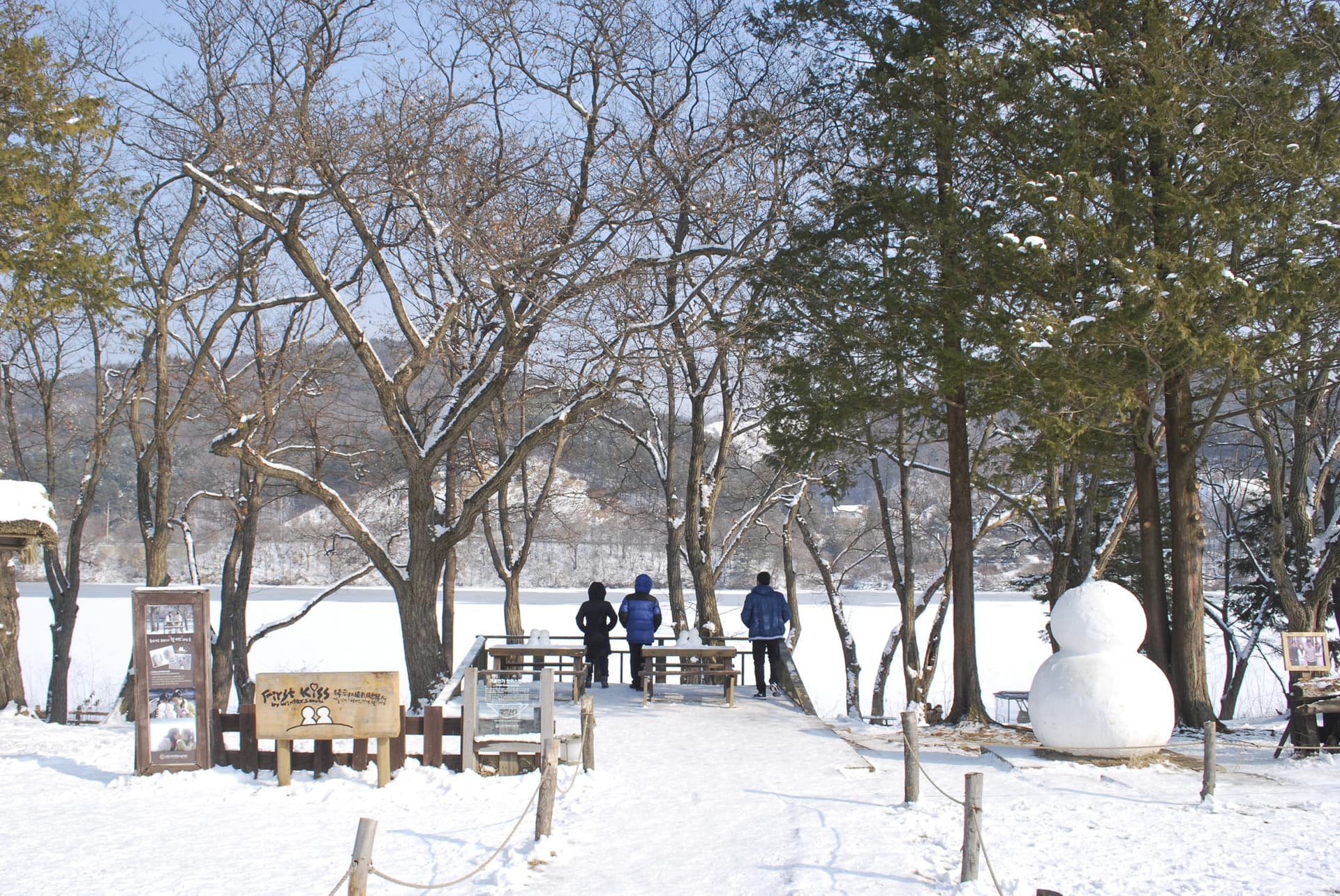 Alpaca World, Nami Island, and Garden of Morning Calm Tour from Seoul - სურათი 13