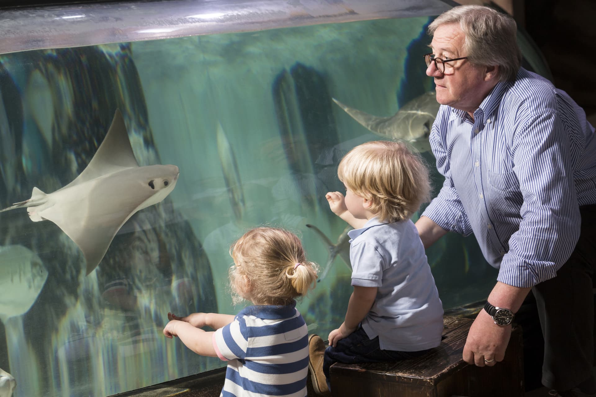 SEA LIFE Hannover Aquarium Ticket - სურათი 5