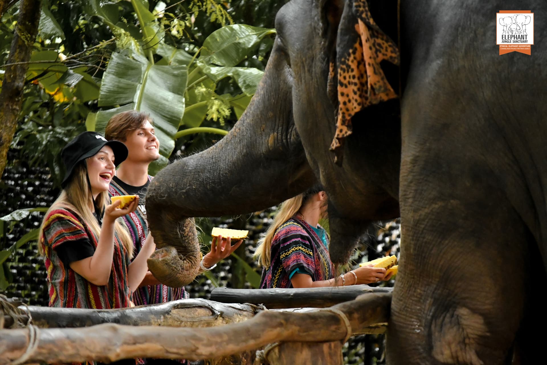 Elephant Jungle Sanctuary Phuket - მთავარი სურათი