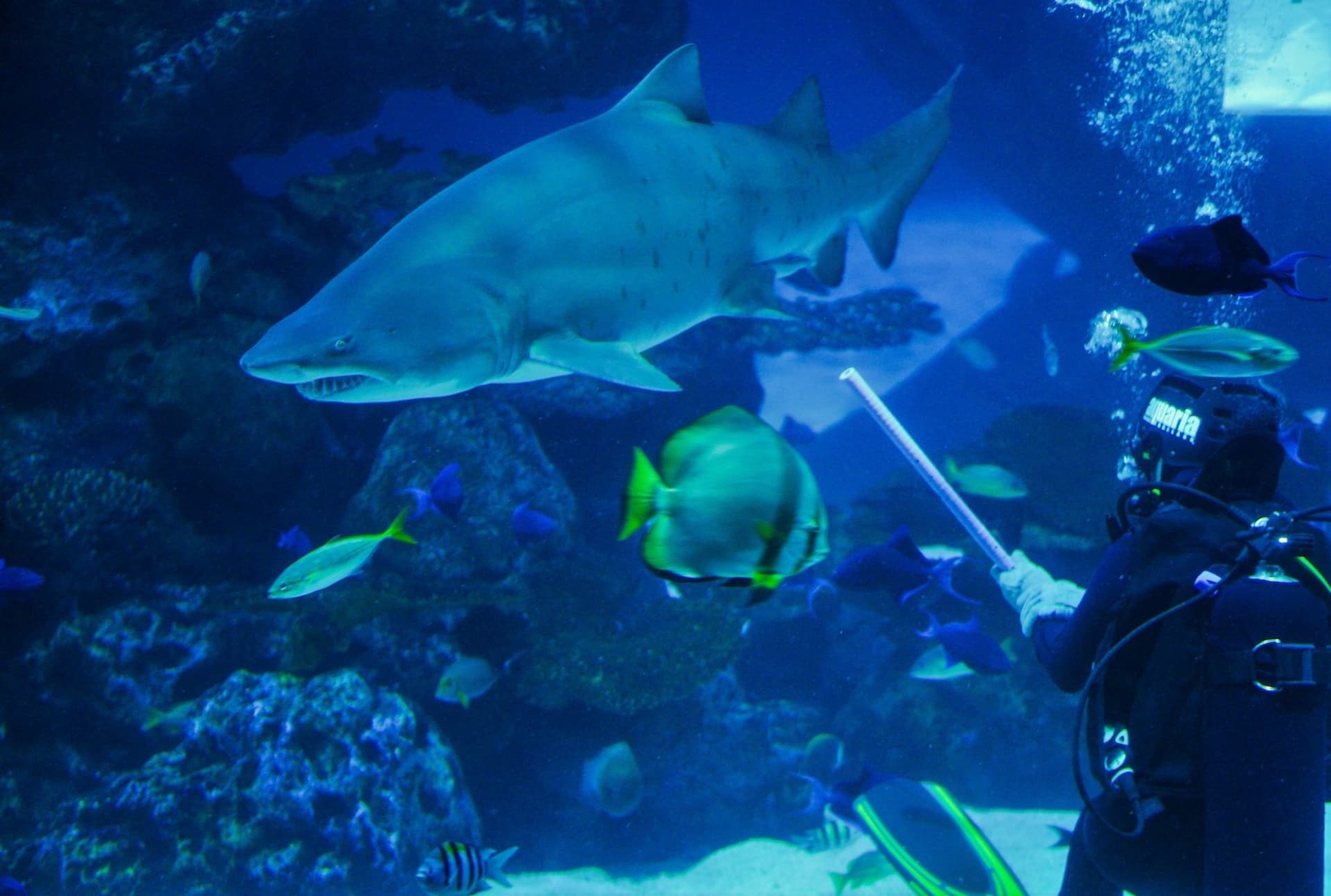 Aquaria Phuket - სურათი 22