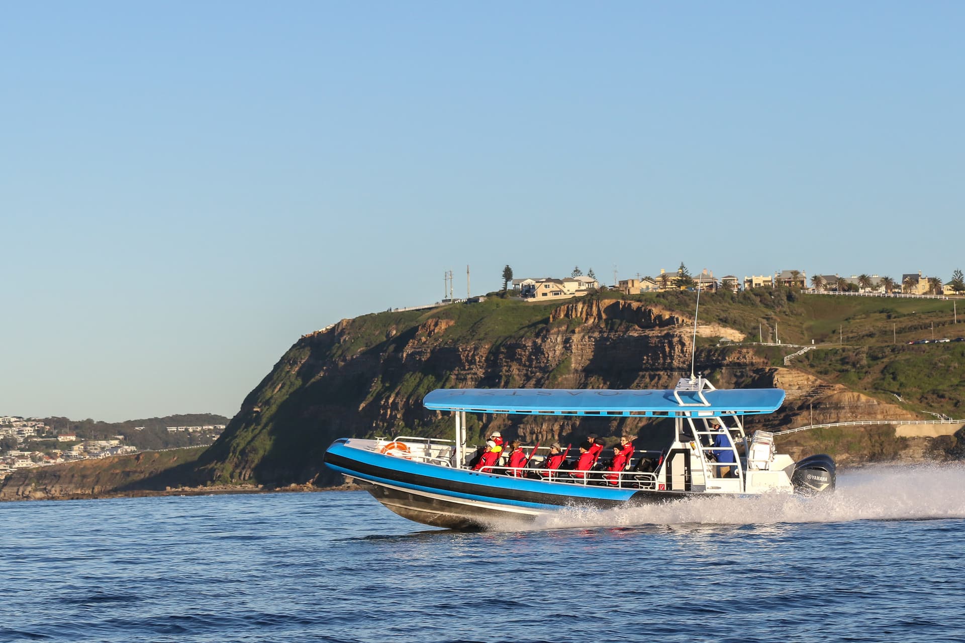 Newcastle Whale Watching Cruise aboard CoastXP - სურათი 5