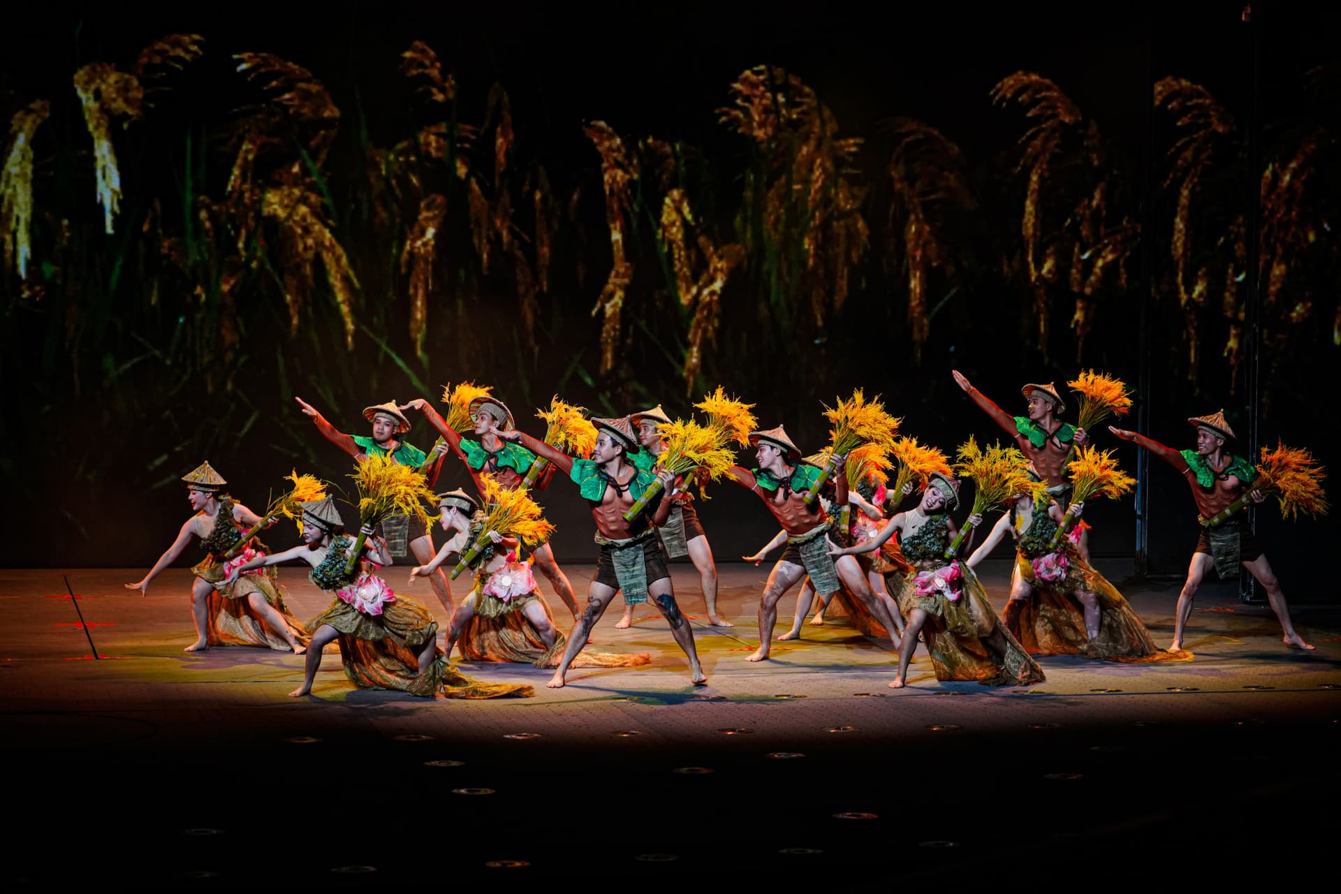 The Grand Epic of Vietnam (Đất Nước Thiên Hùng Ca) Show Ticket - სურათი 3