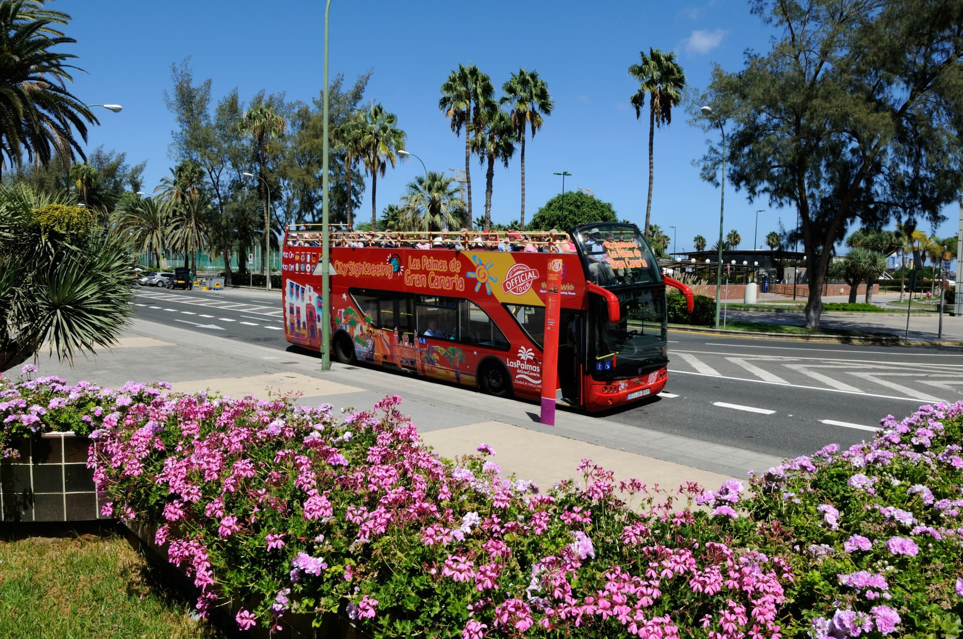 City Sightseeing Las Palmas de Gran Canaria Hop-on Hop-off Bus Tour - სურათი 5