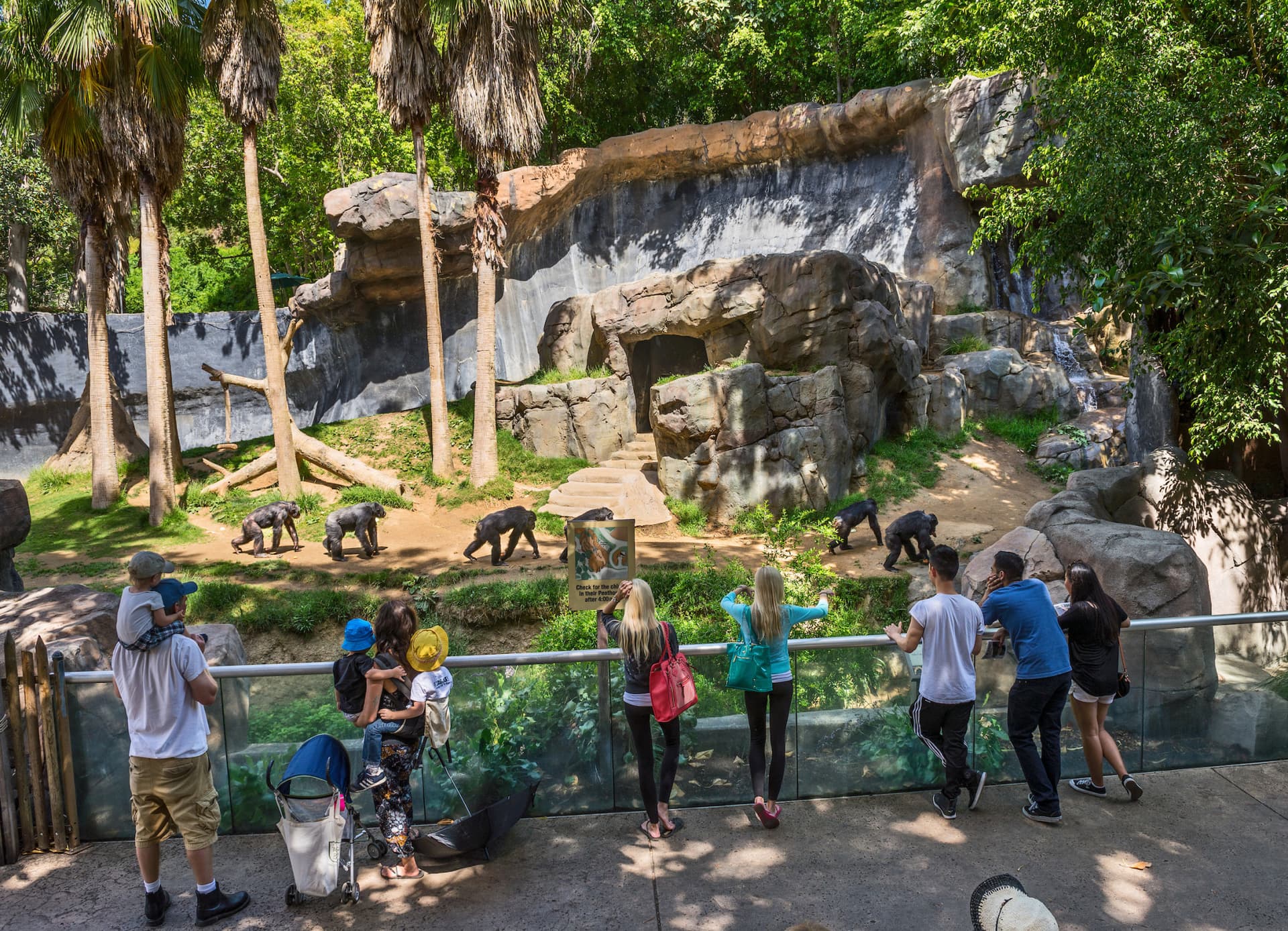 Go City Las Vegas Explorer Pass: Save up to 50% on Attractions - სურათი 4