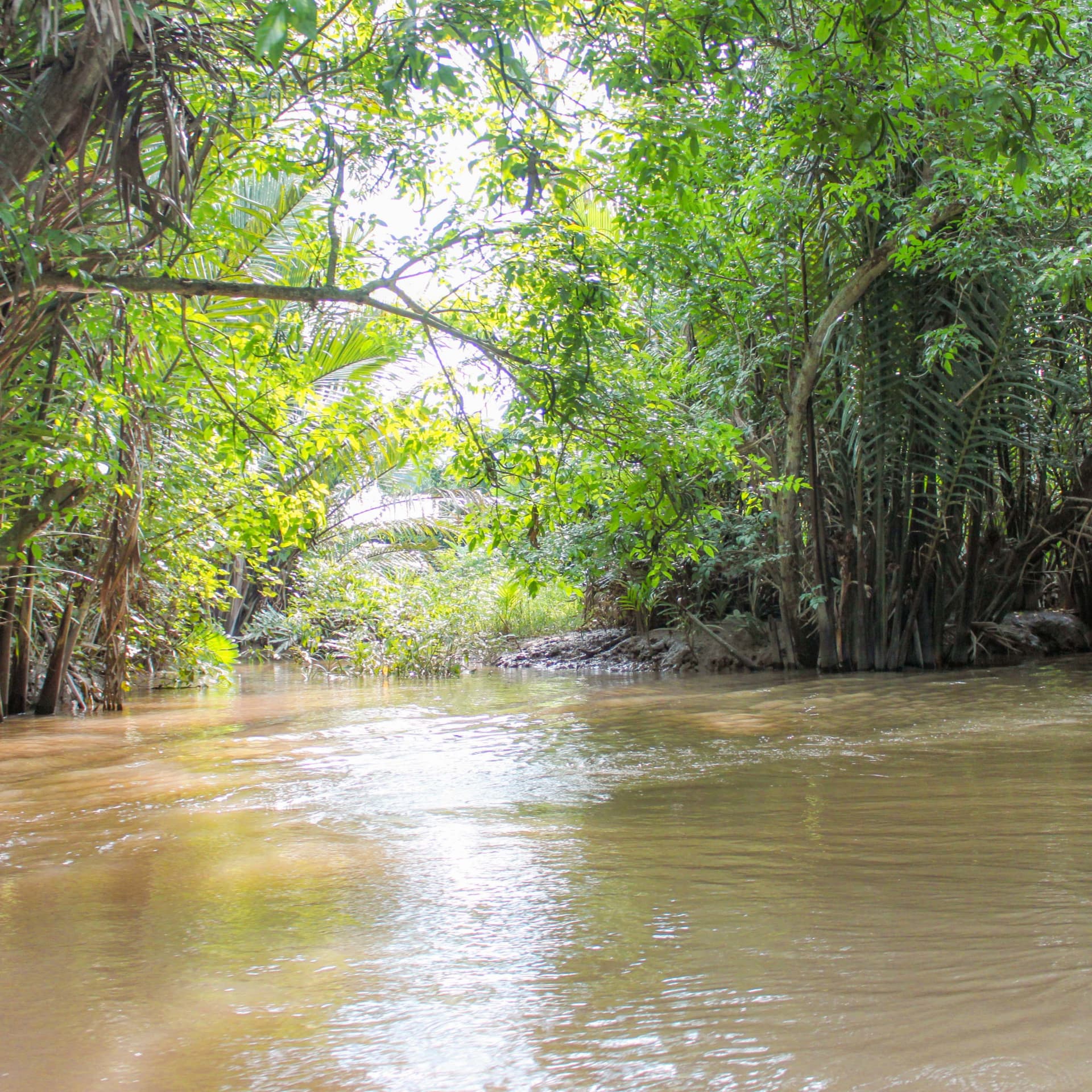Cu Chi Tunnels and Mekong Delta Full-Day Tour from Ho Chi Minh - სურათი 15