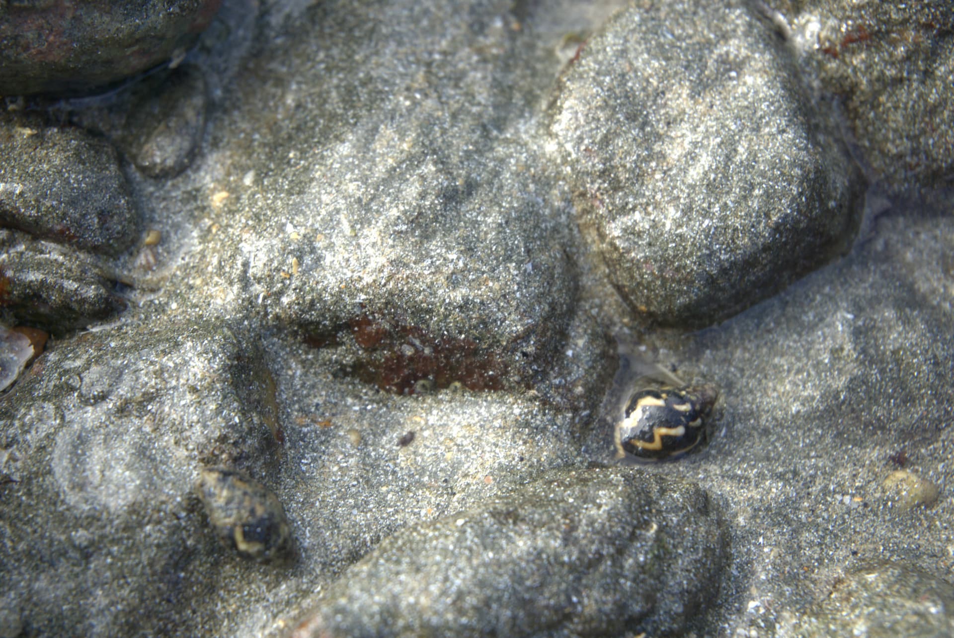 Desaru Beach and Tide Pool Walk - სურათი 25
