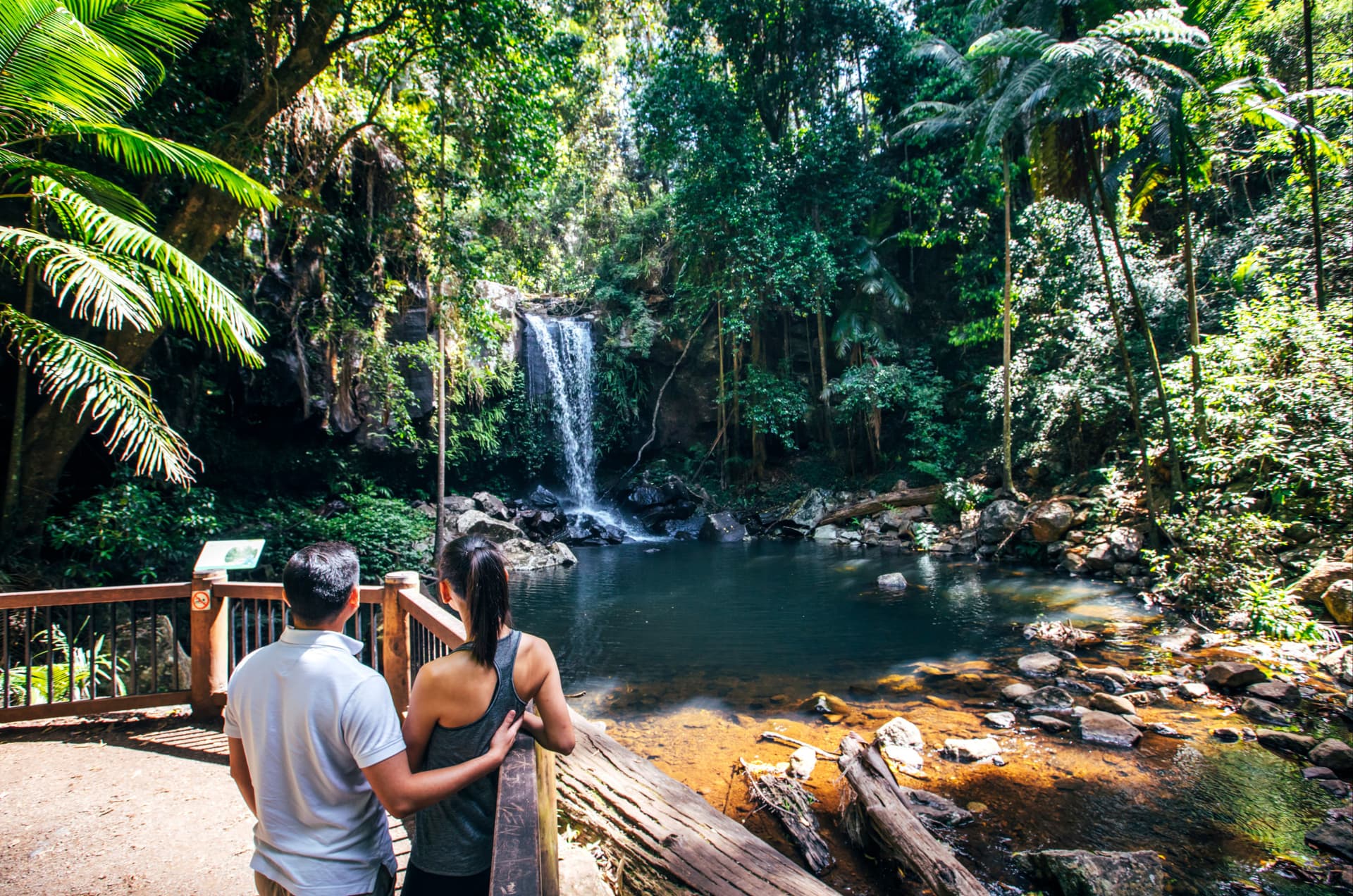 Kangaroos and Koalas Tour with Morning Tea from Gold Coast - სურათი 4
