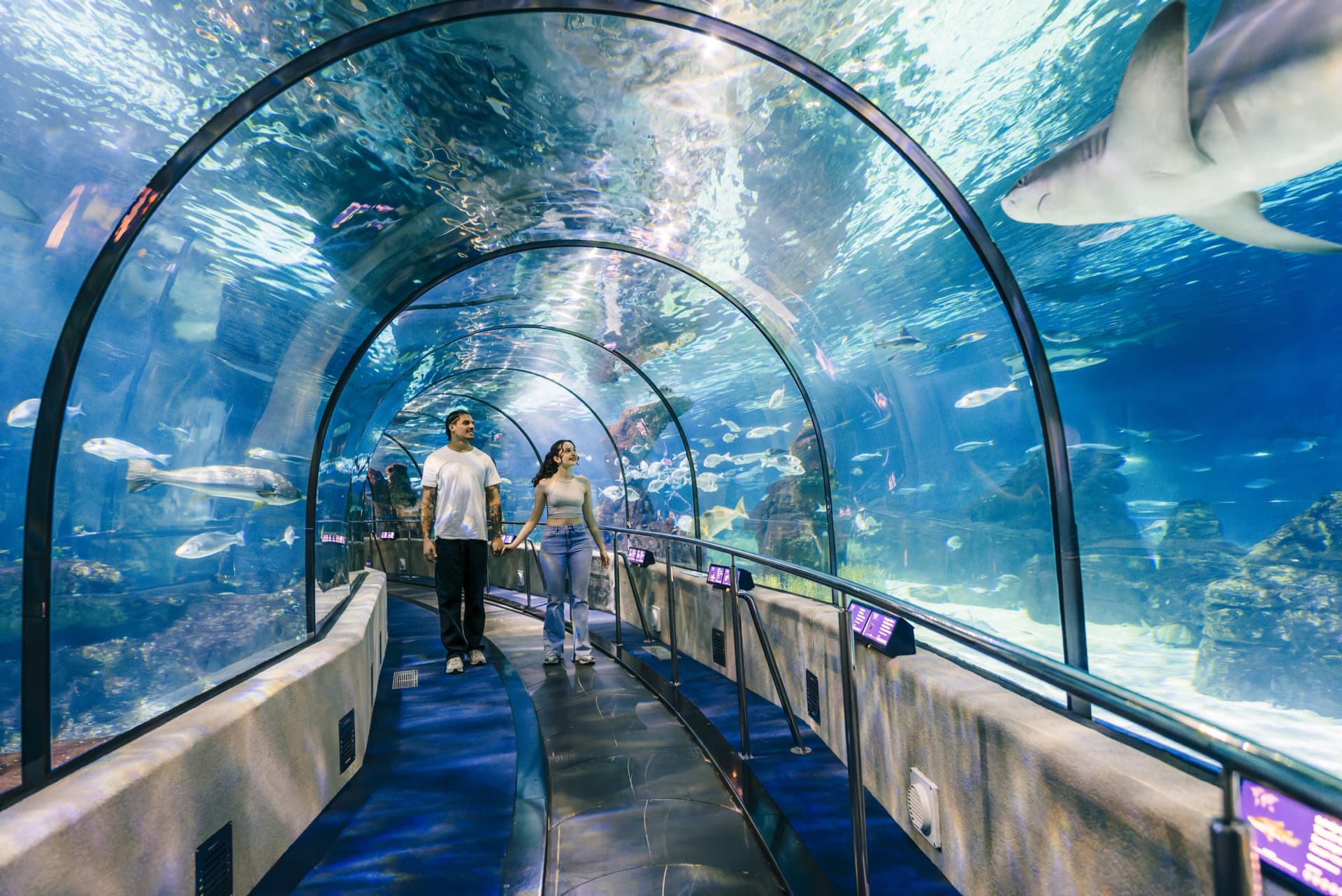 Barcelona Aquarium Ticket - სურათი 4