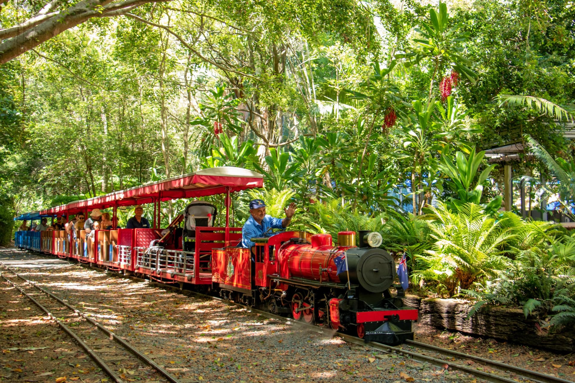 Currumbin Wildlife Sanctuary Gold Coast Ticket - სურათი 16
