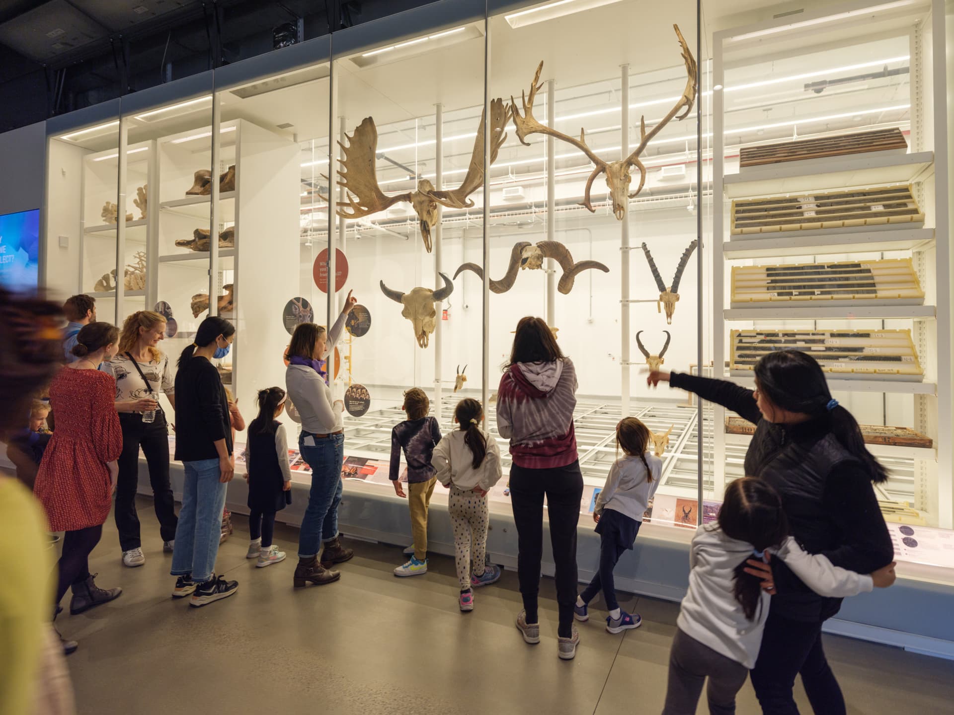 American Museum of Natural History Ticket - სურათი 6