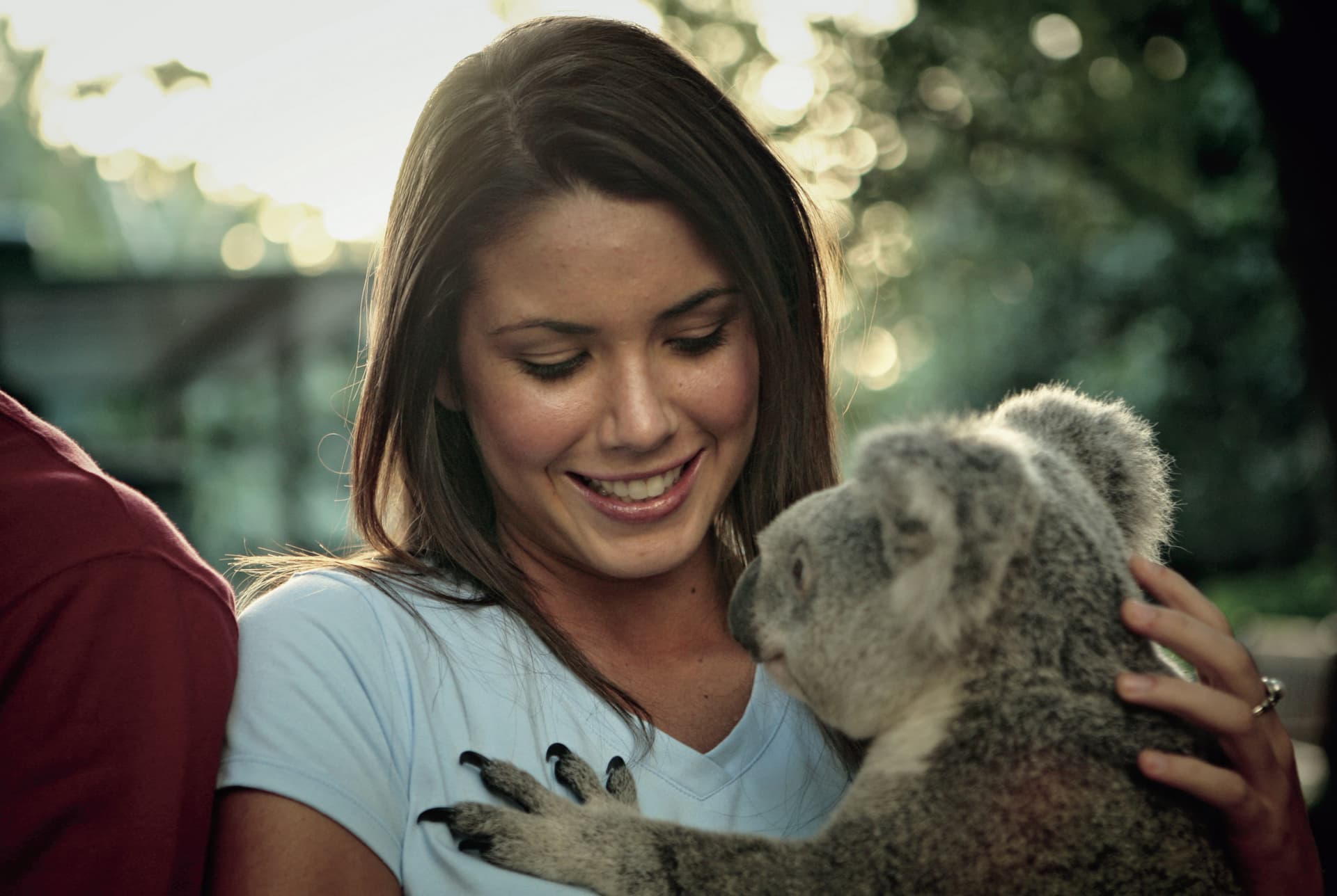 Currumbin Wildlife Sanctuary Gold Coast Ticket - სურათი 3