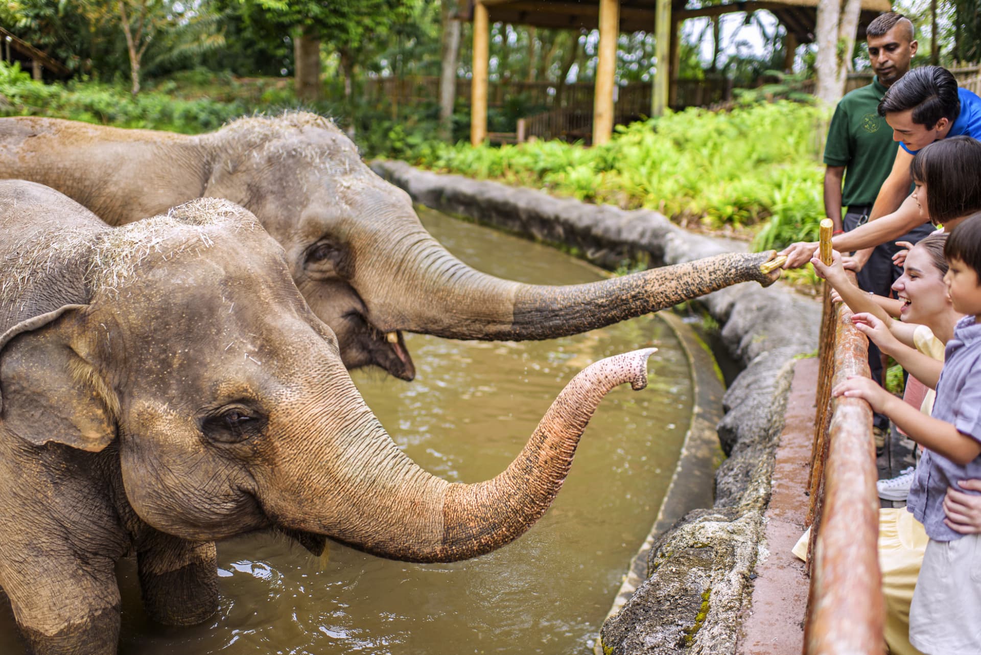 Singapore Zoo Ticket - სურათი 5