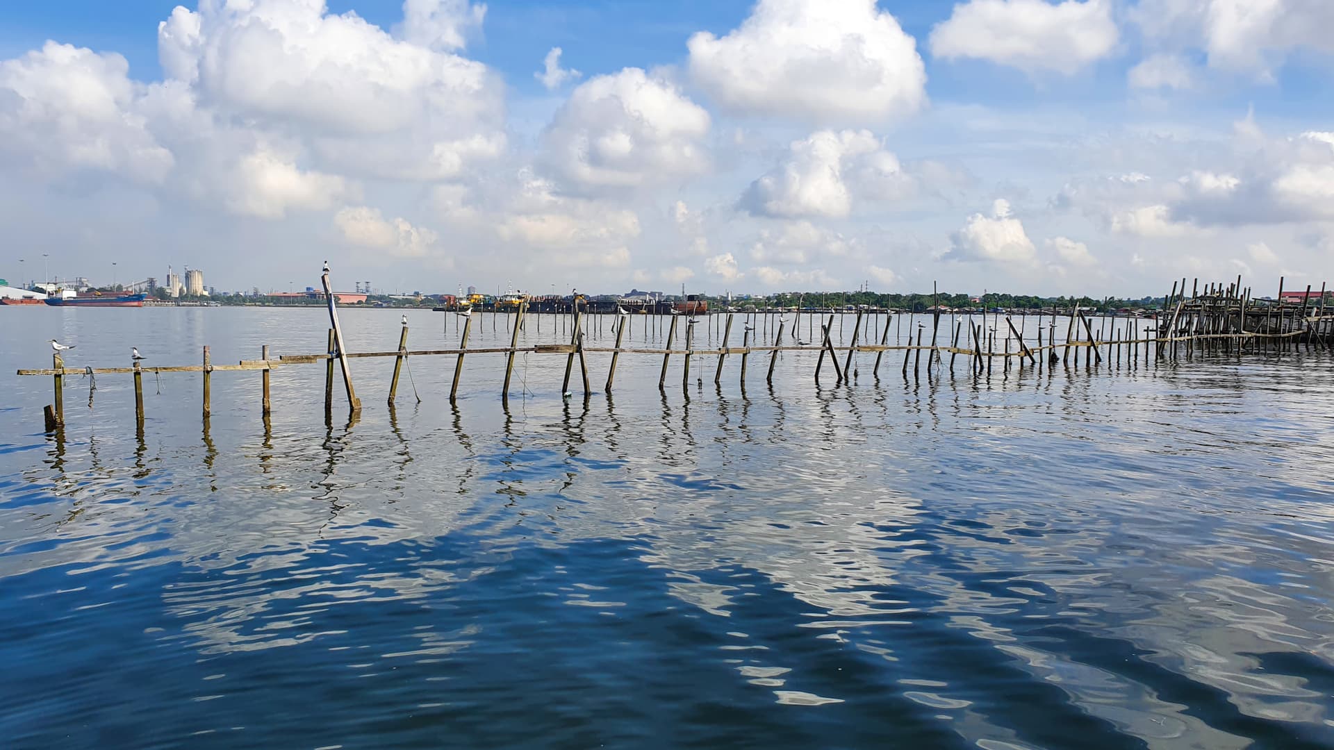 Kelong and Pulau Ubin Boat Tour - სურათი 4