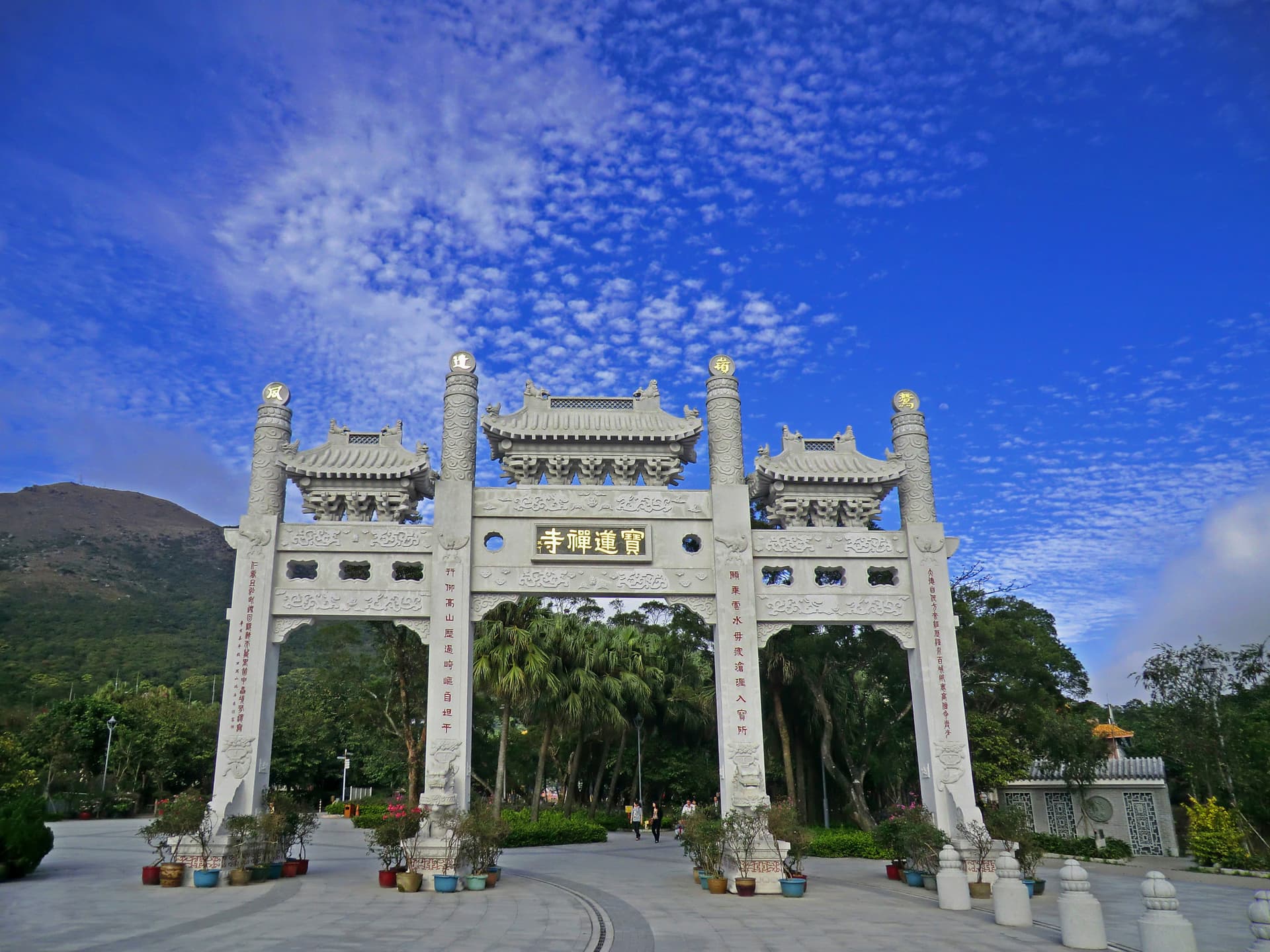 Ngong Ping 360 Tai O Pass - სურათი 7