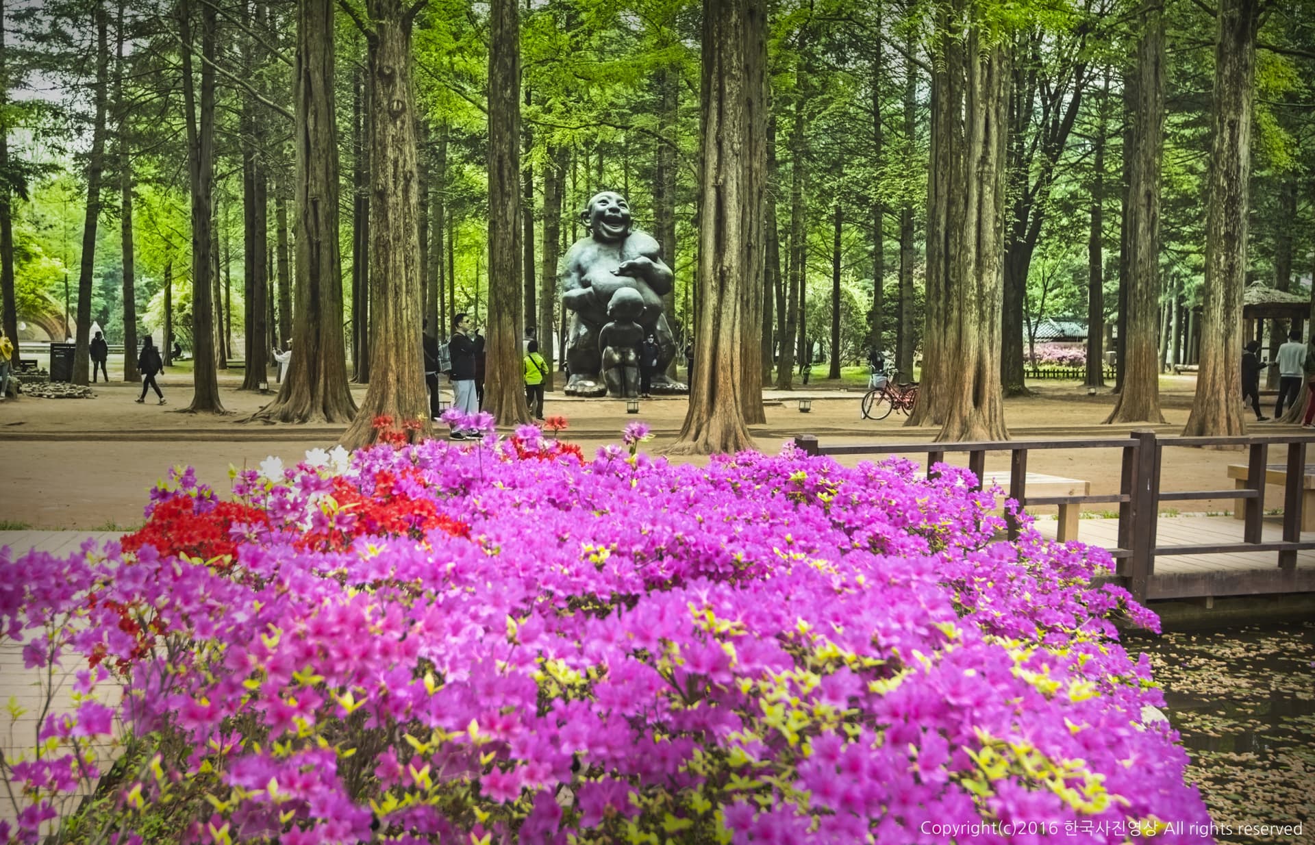 Nami Island, Petite France, and Italian Village Tour from Seoul - მთავარი სურათი