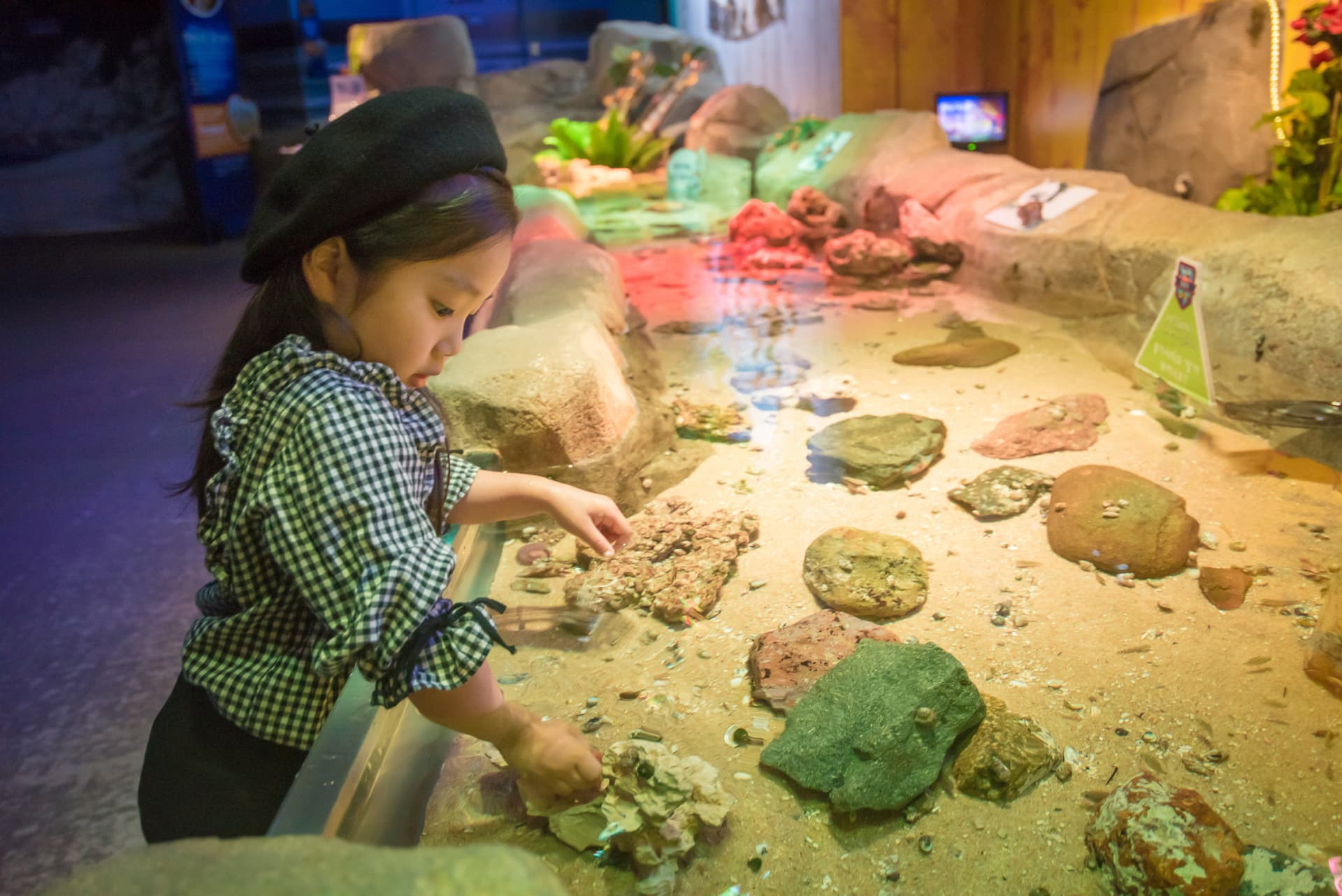 SEA LIFE Busan Aquarium Ticket - სურათი 5