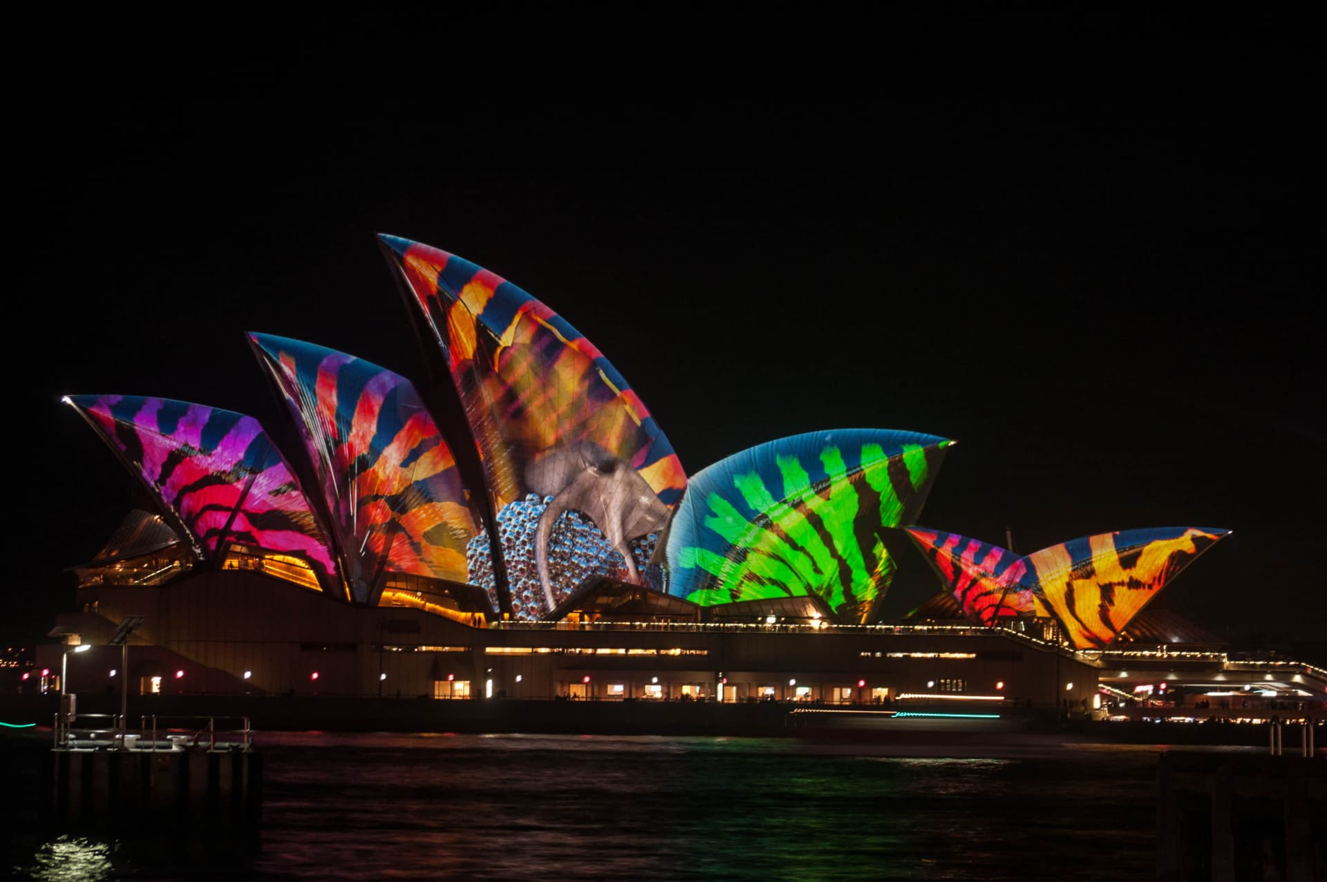 Vivid Festival of Light and Sound Cruise with Buffet Dinner aboard Sydney Princess Cruises - სურათი 10