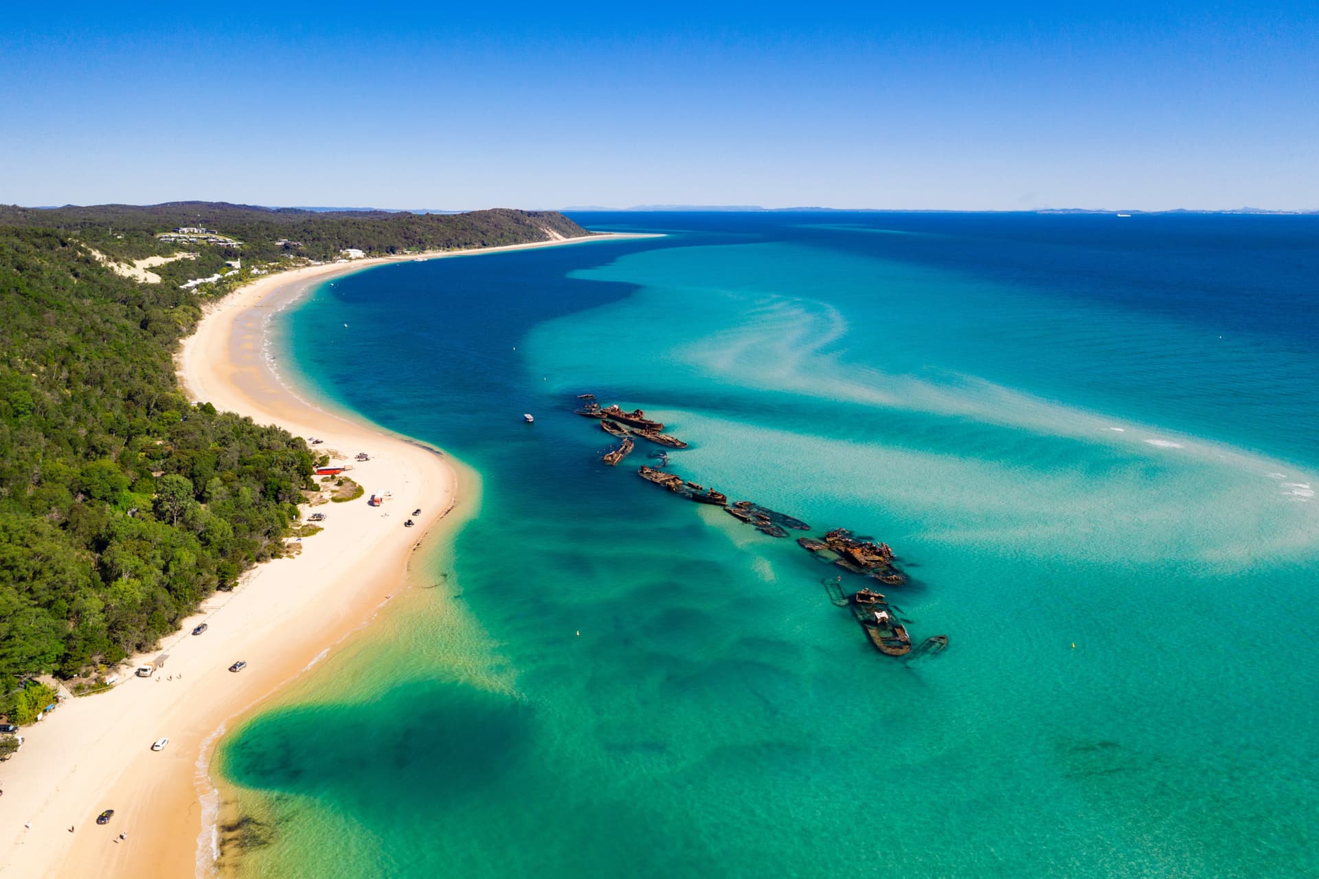 Tangalooma Wrecks & Dolphin Cruise Optional Round transfer from Brisbane City and Gold Coast - სურათი 12