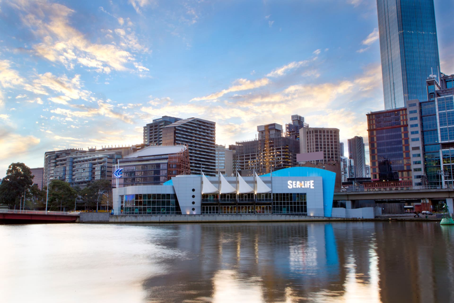 SEA LIFE Melbourne Aquarium Direct Entry Ticket - სურათი 19