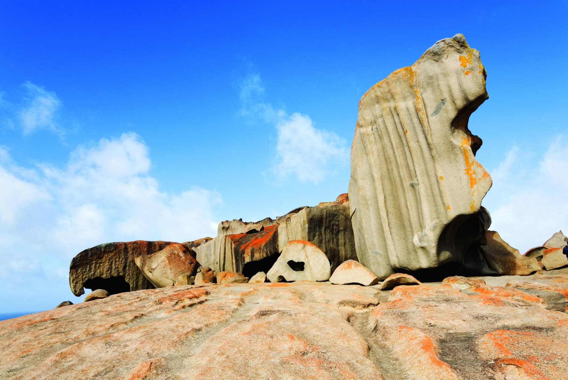 Kangaroo Island Tour from Adelaide - სურათი 7