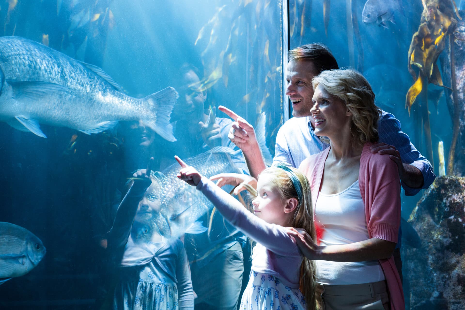 Go City Chicago All-Inclusive Pass: Save up to 50% on Attractions - სურათი 3