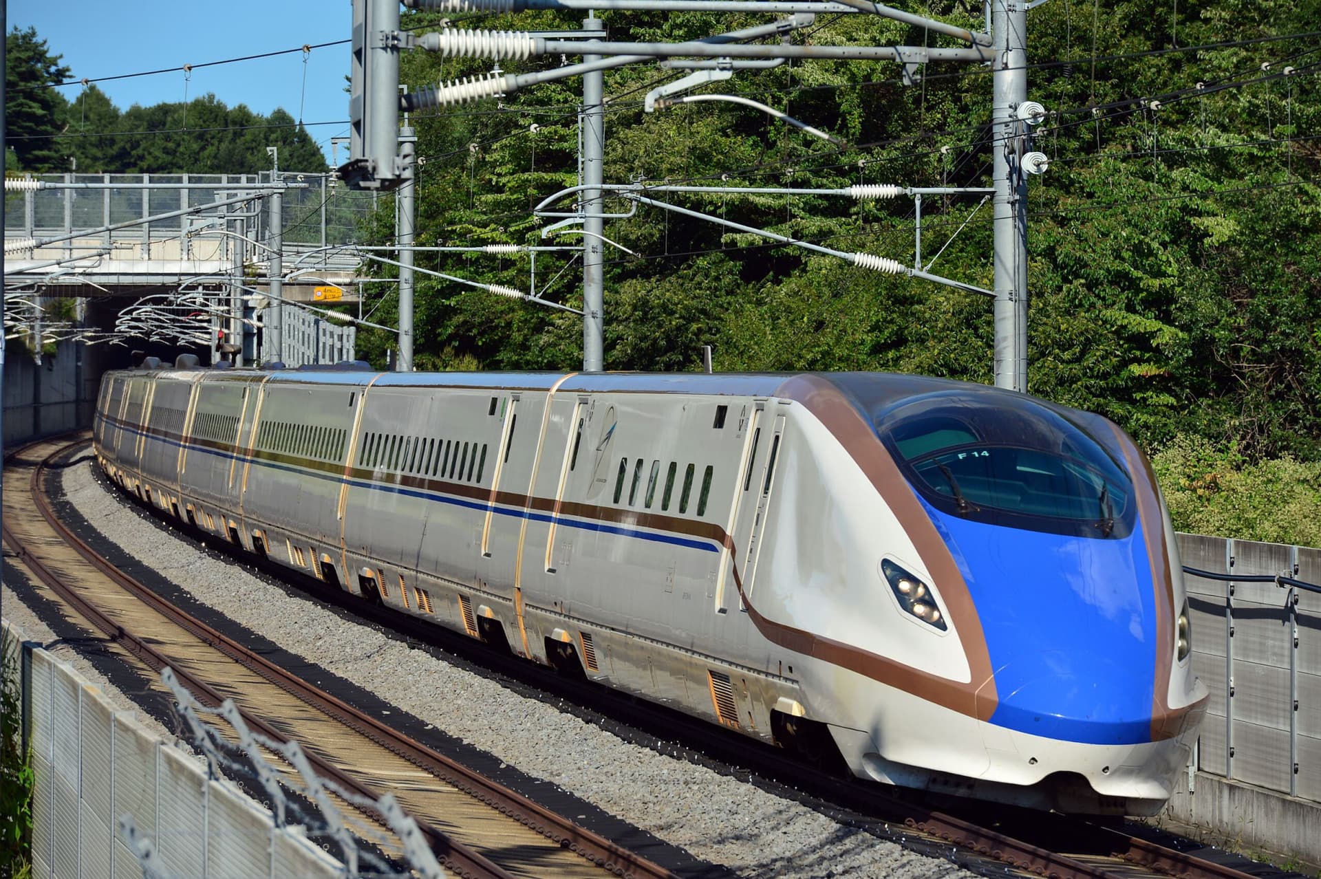 JR EAST PASS - სურათი 8