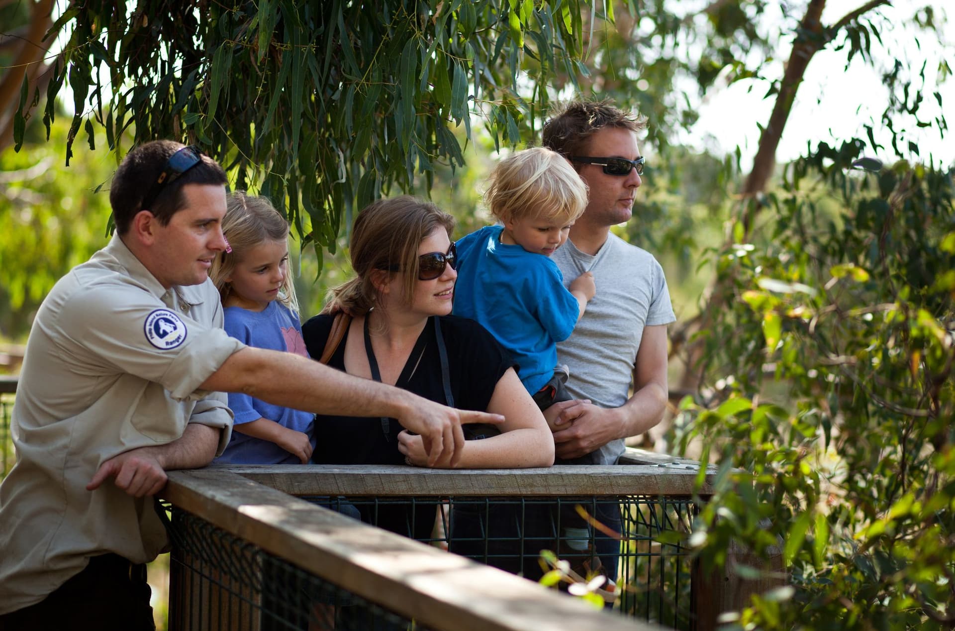 Phillip Island Nature Parks - Koala Conservation Reserve Ticket - სურათი 4