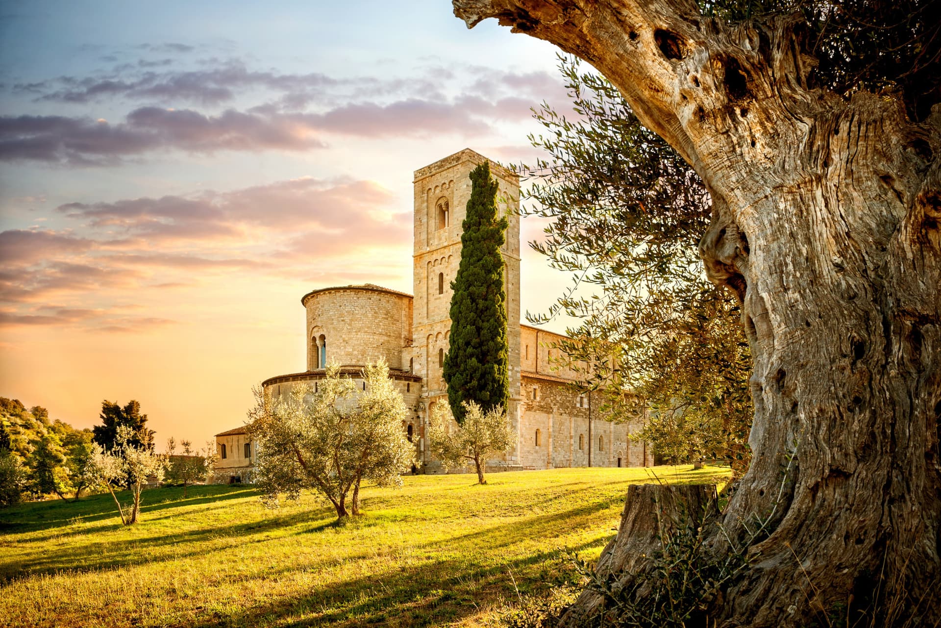 Medieval Tuscany Tour from Florence: Monteriggioni, Montalcino, Pienza - სურათი 3